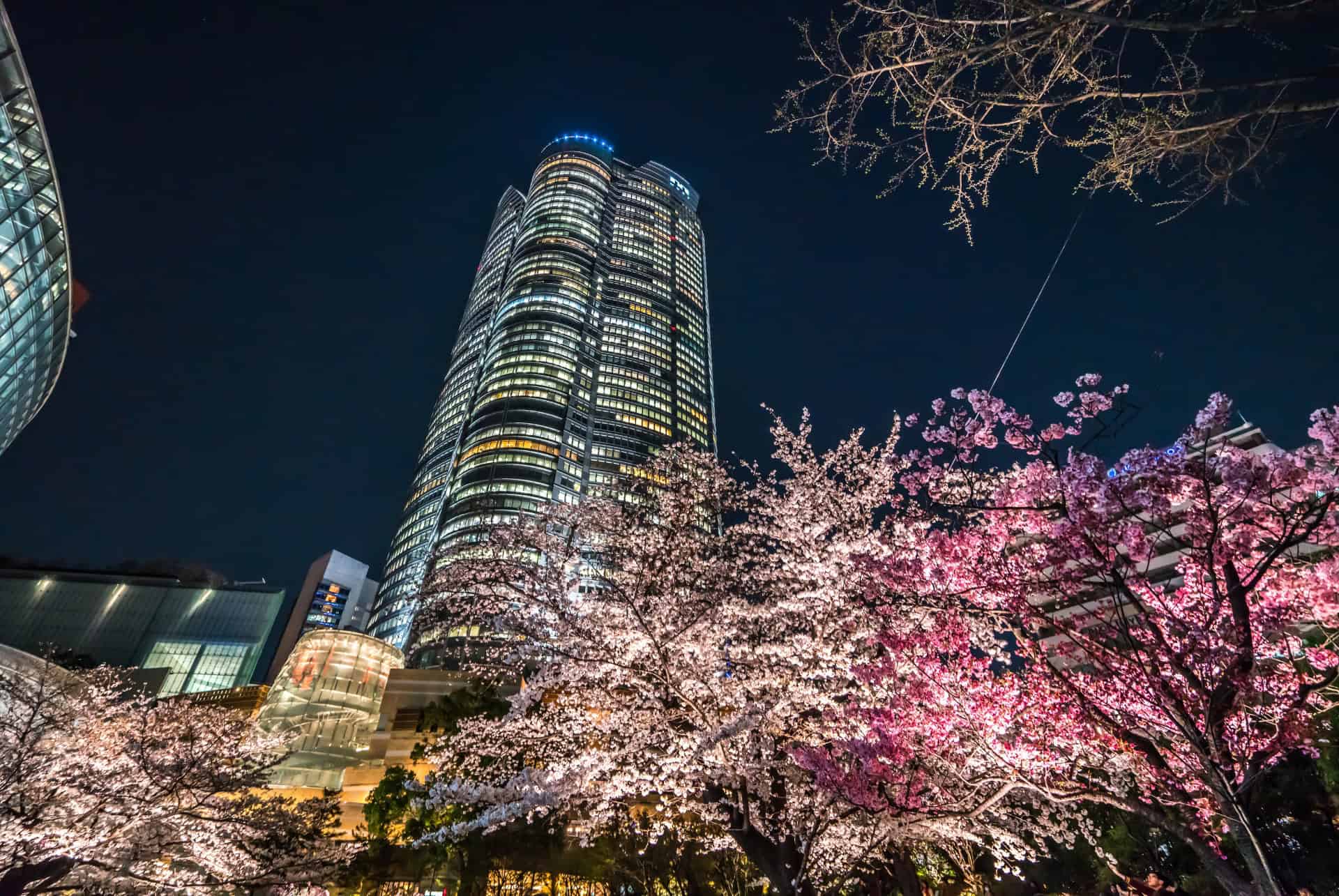 roppongi hills