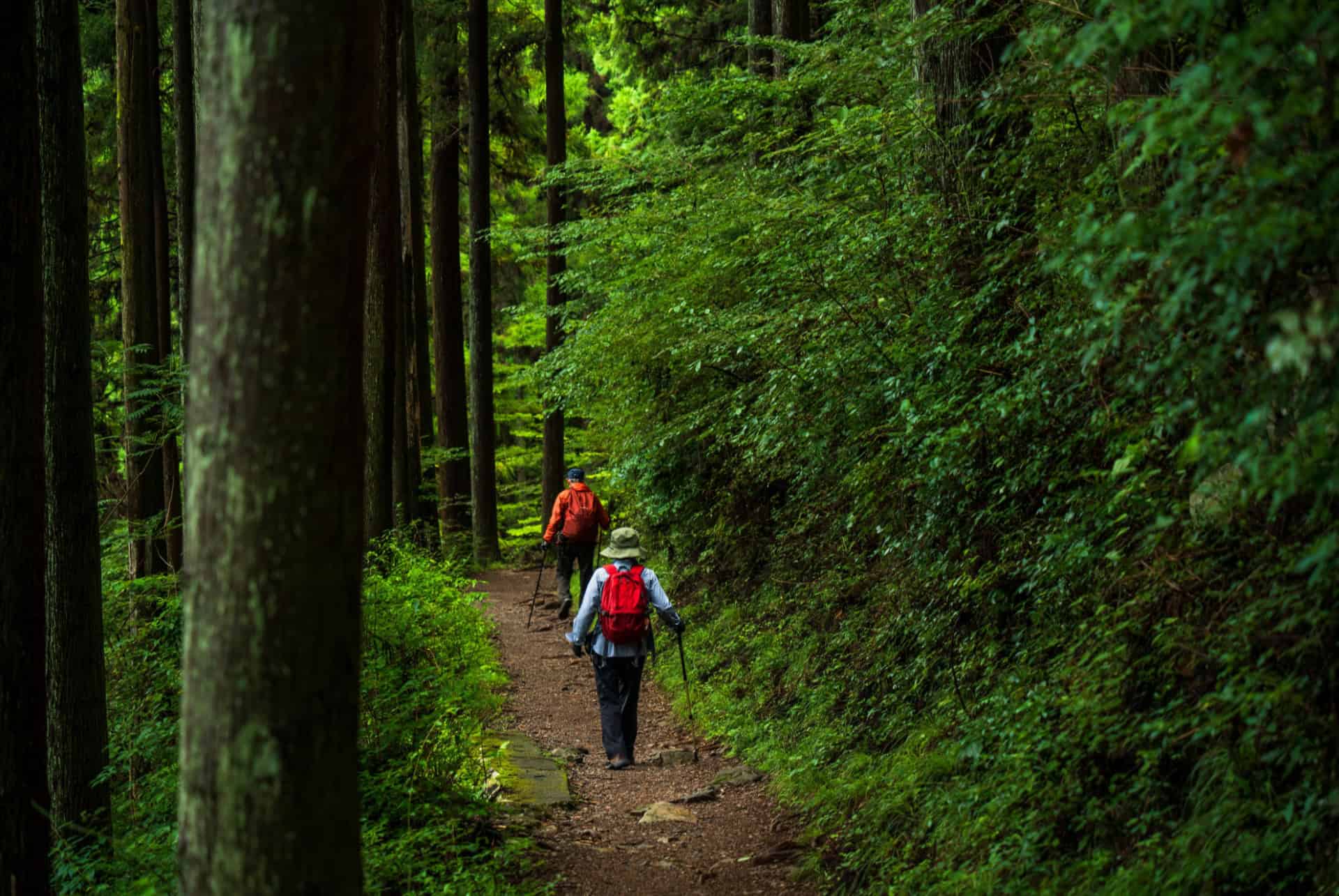 mont mitake japon
