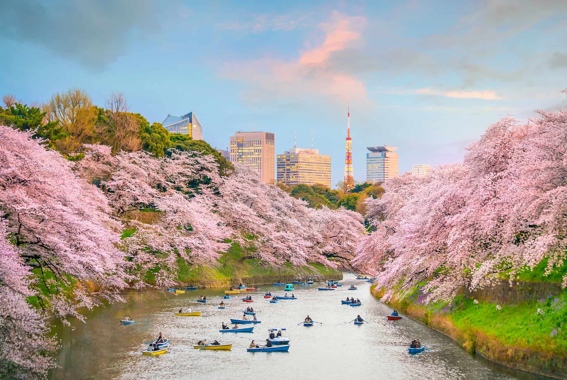 parc ueno
