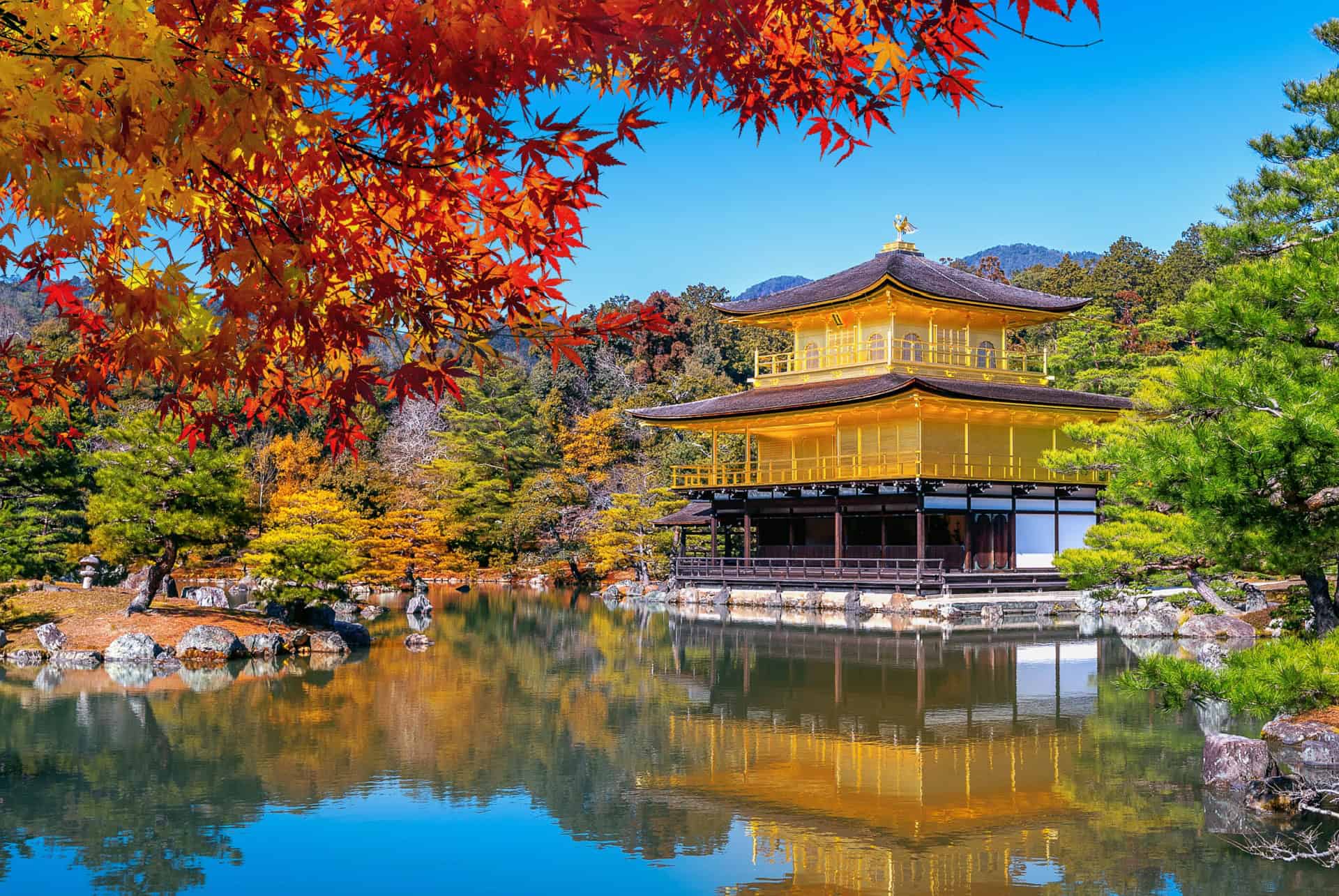 pavillon d or temple kinkakuji kyoto
