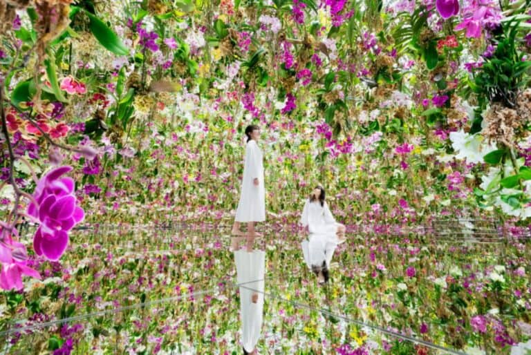 Billet d'entrée à Teamlab Planets