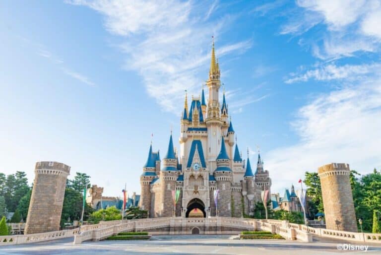 Pass 1 jour Tokyo Disneyland