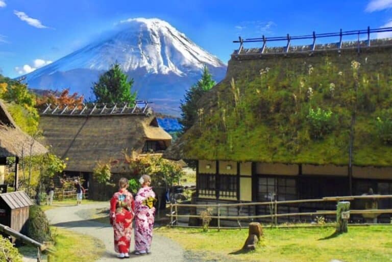 Visite d'une journée des meilleurs sites panoramiques du mont Fuji