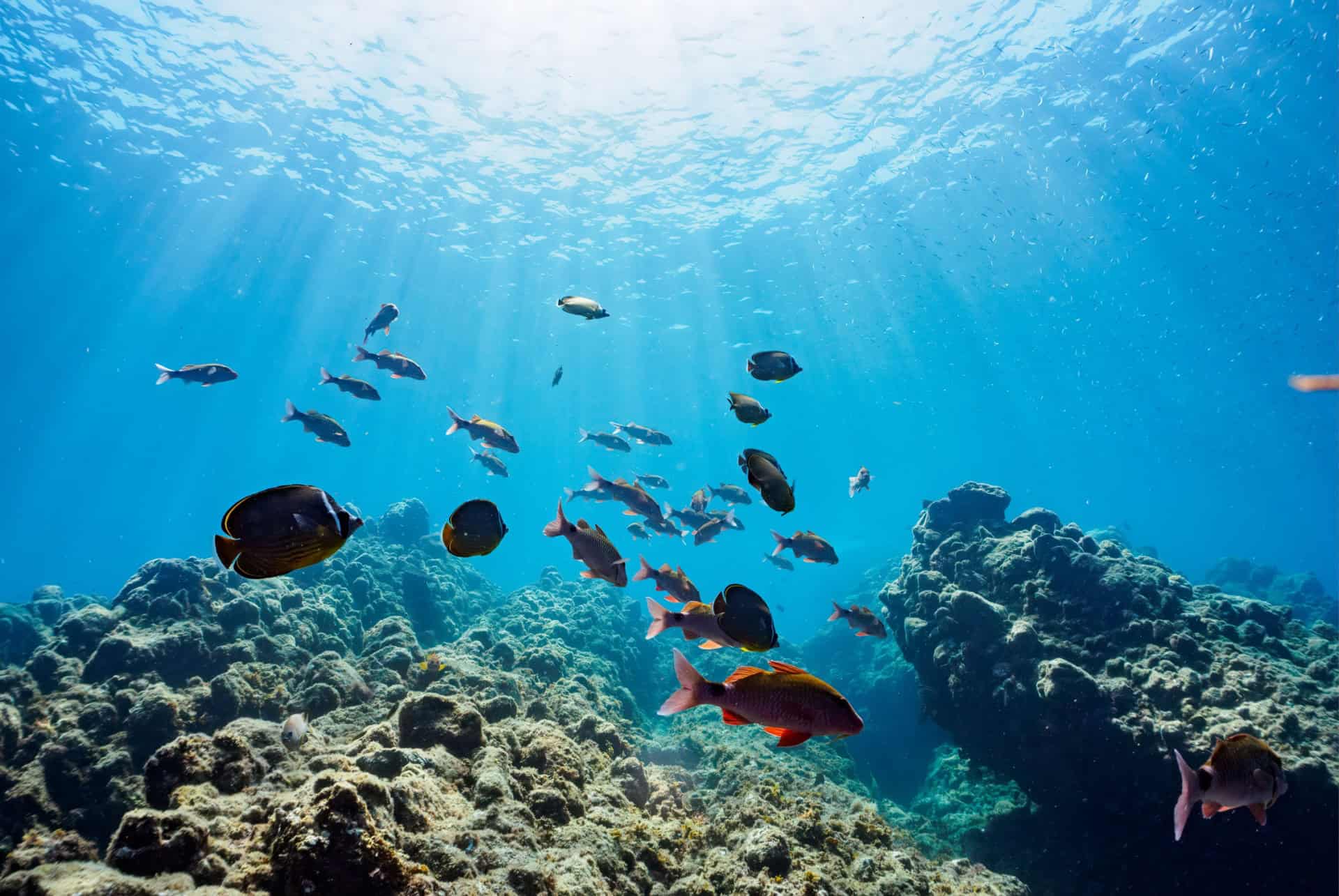 snorkeling plage hirizo
