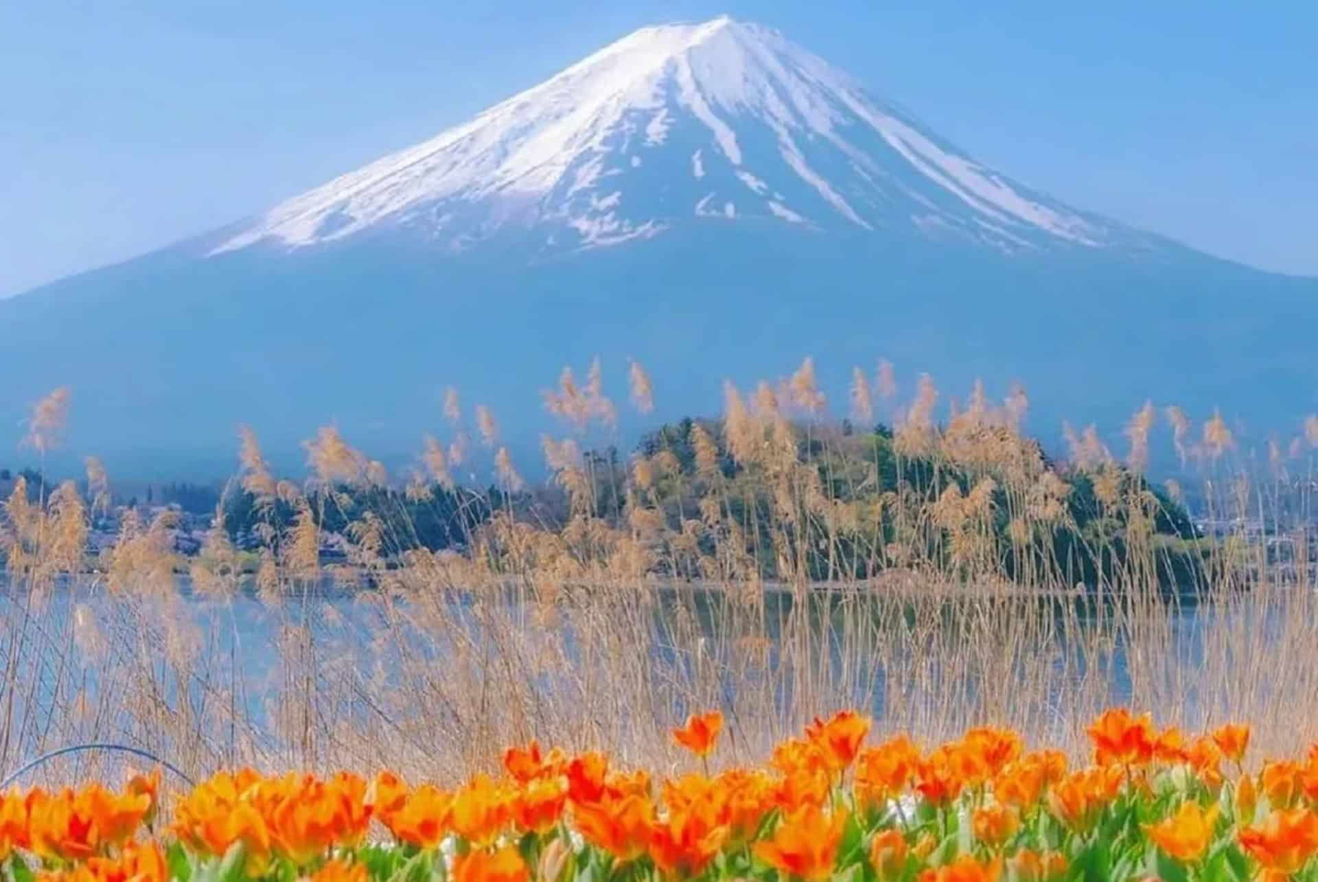 excursion journees 5 sites principaux mont fuji