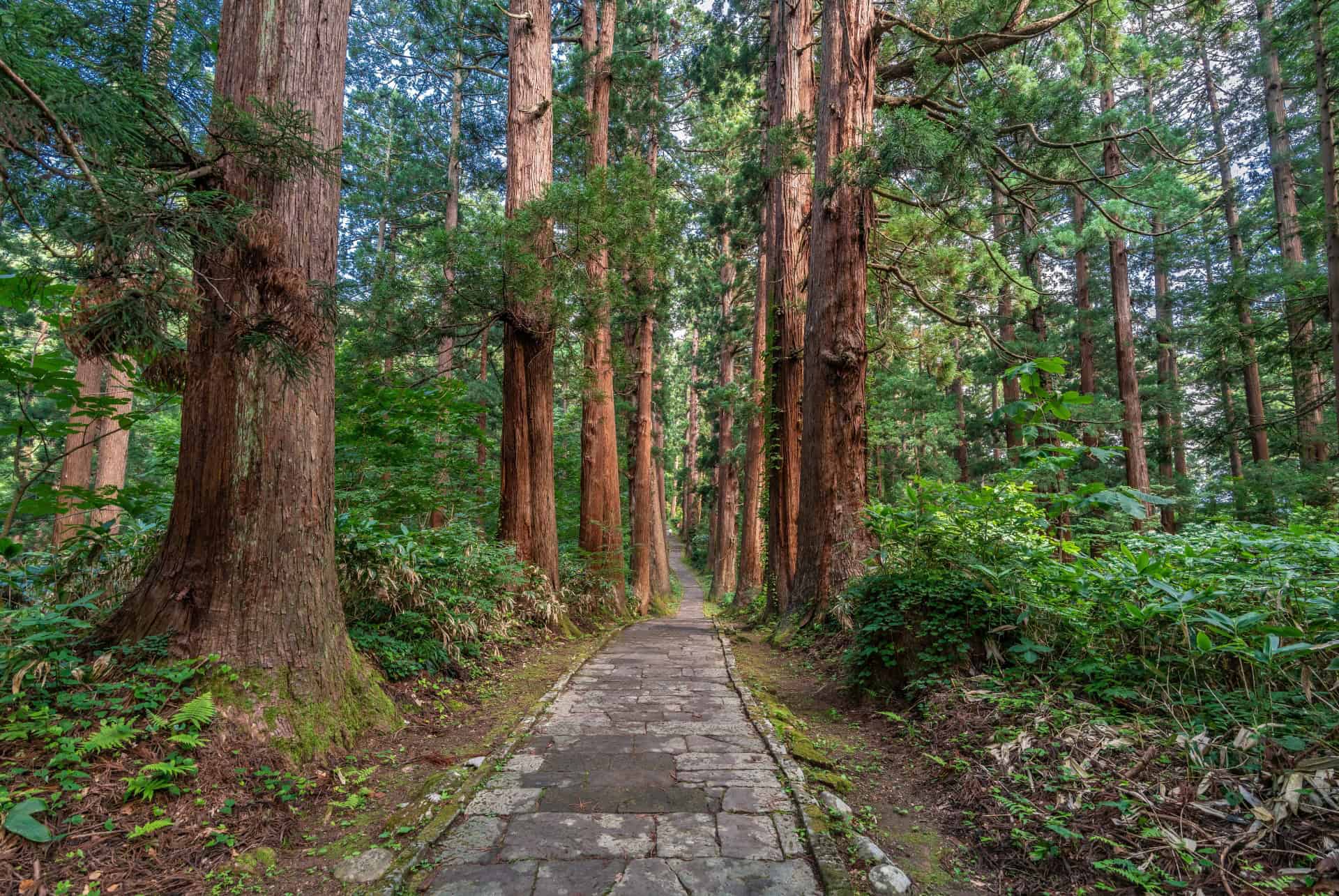 region de dewa sanzan plus belles randonnees au japon
