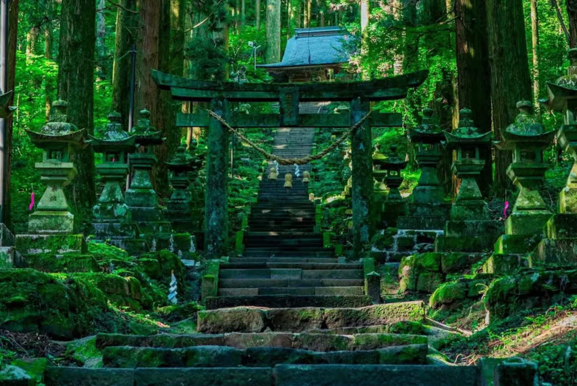 sanctuaire kamishikimi mumanoimasu