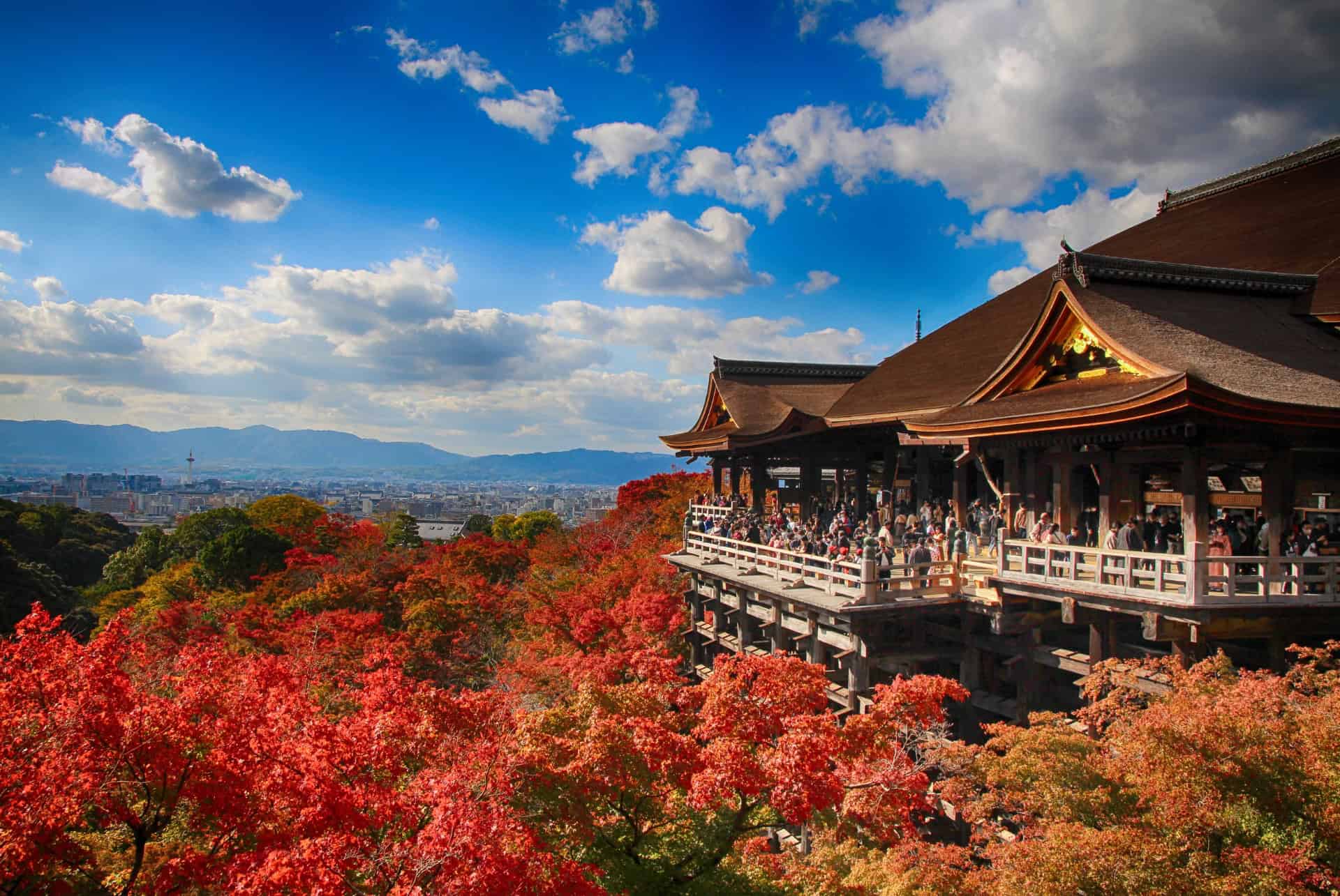 japon en octobre vue sur le temple kiyomizu dera avec les erables aux feuilles rouges