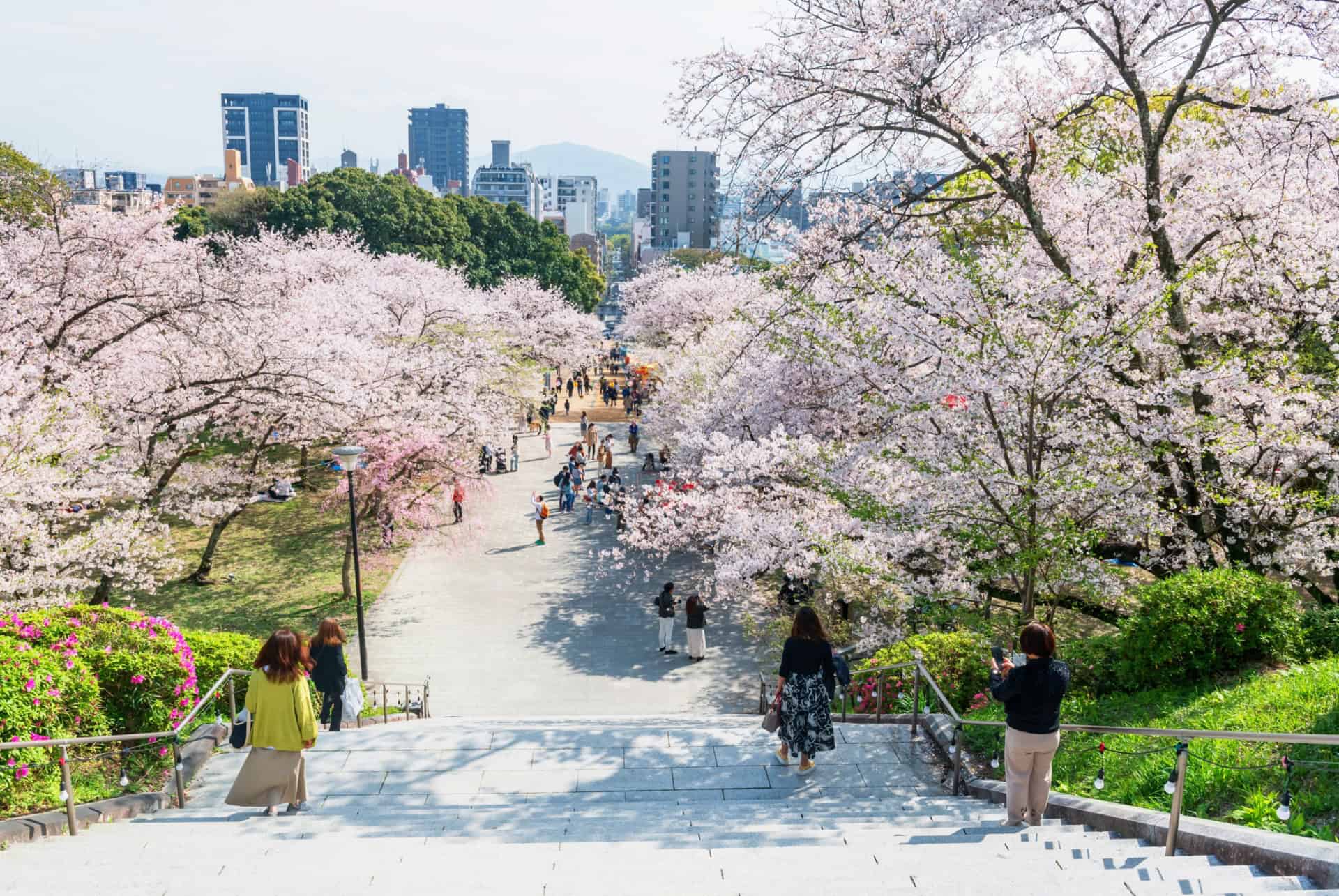que faire au japon kyushu