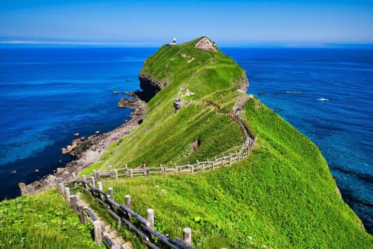Excursion d'une journée sur les sites incontournables de Hokkaido