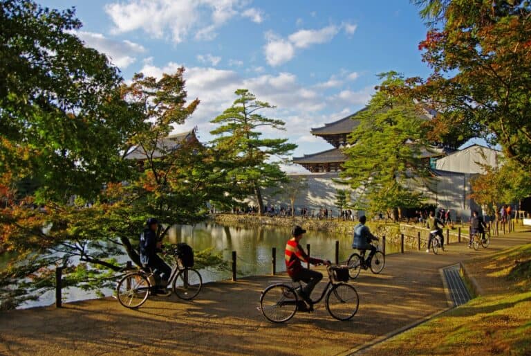 Excursion en velo à Nara
