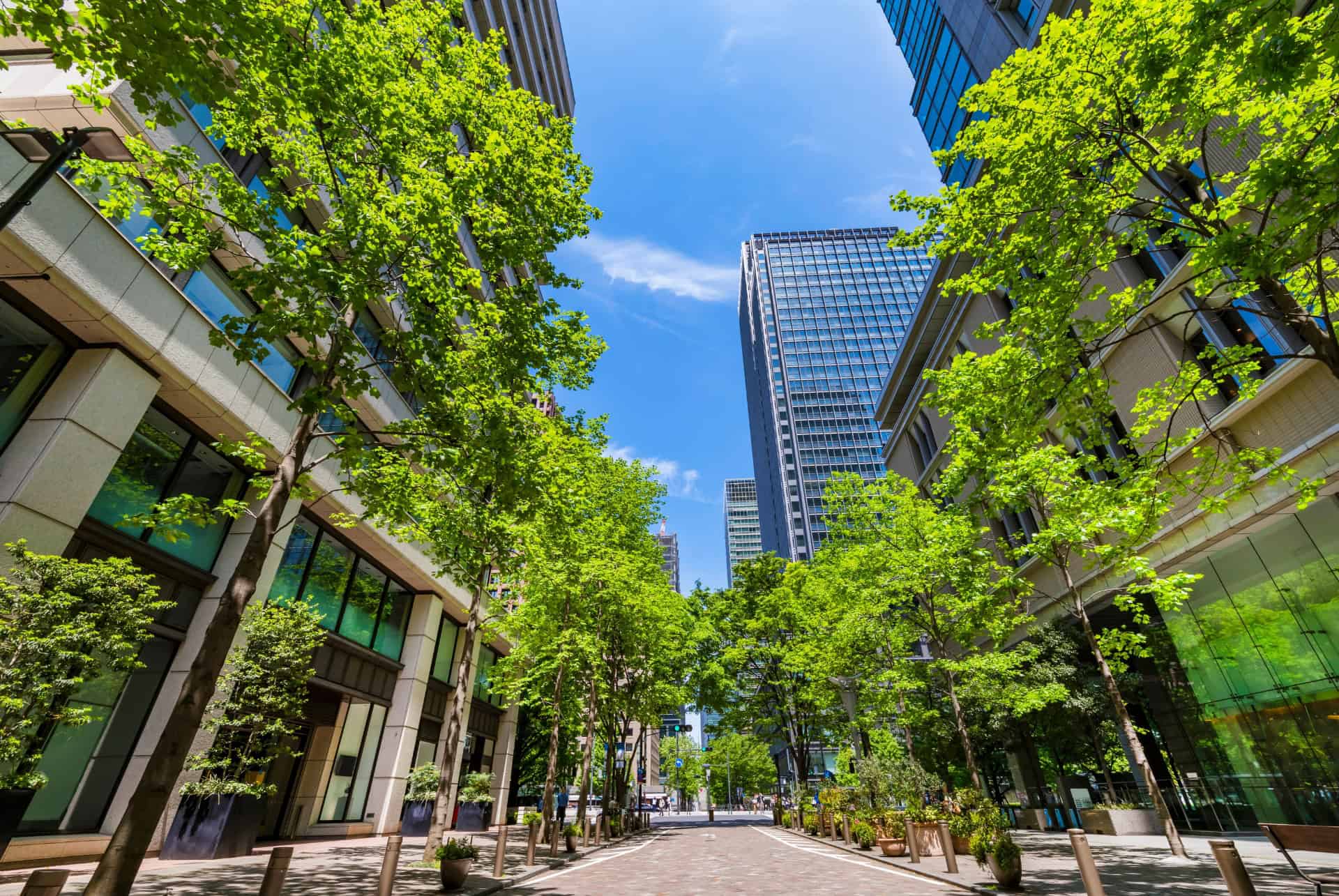 marunouchi naka-dori tokyo
