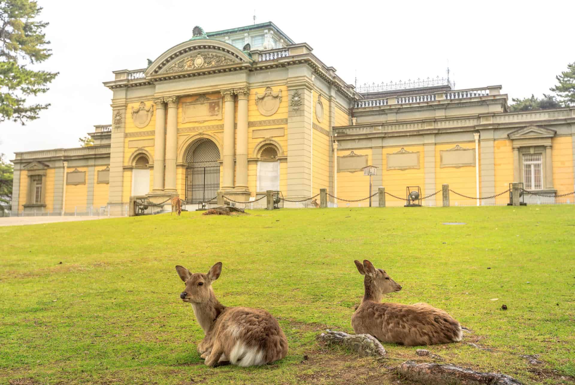 musee nationale de nara