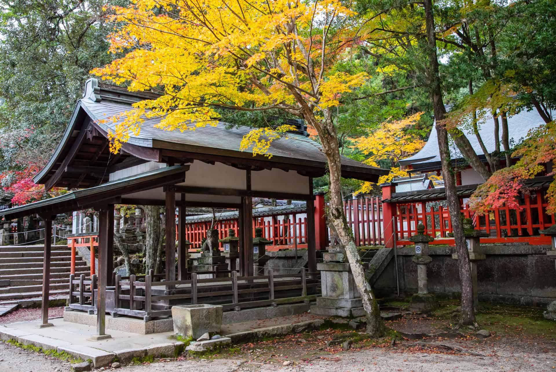 tamukeyama hachiman gu