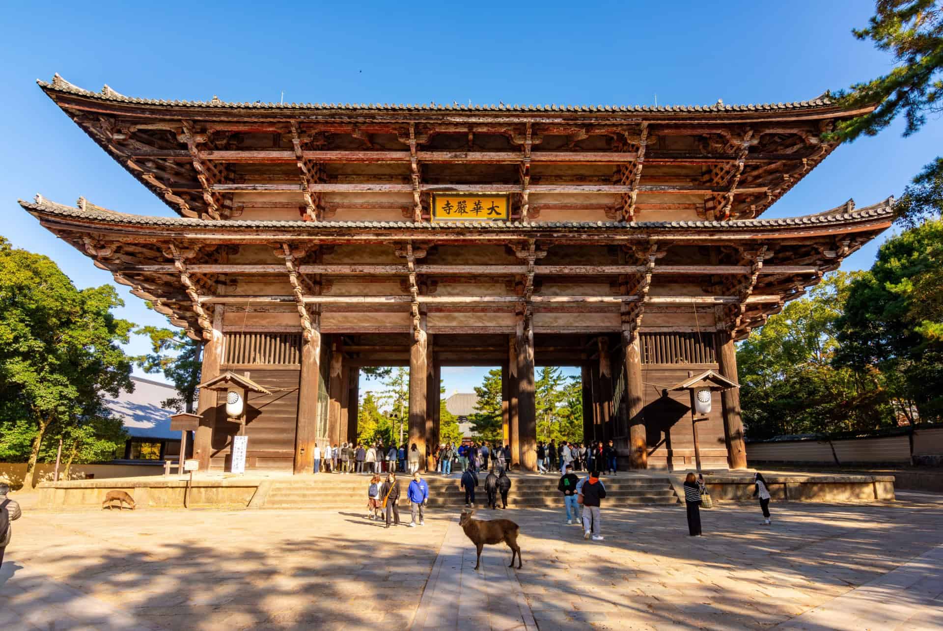 todai ji entreee todai ji entreee