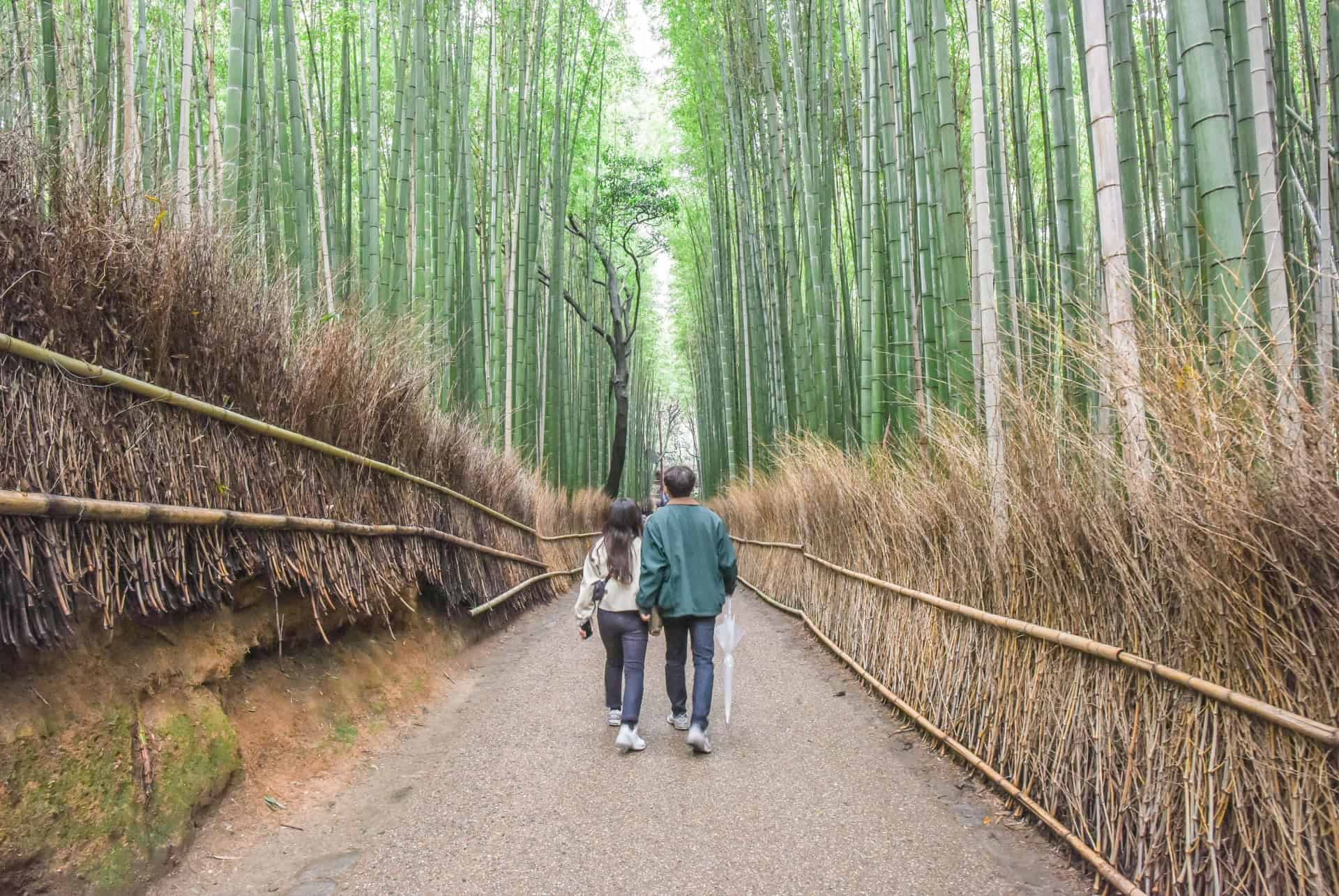 foret de bambous arashiyama kyoto