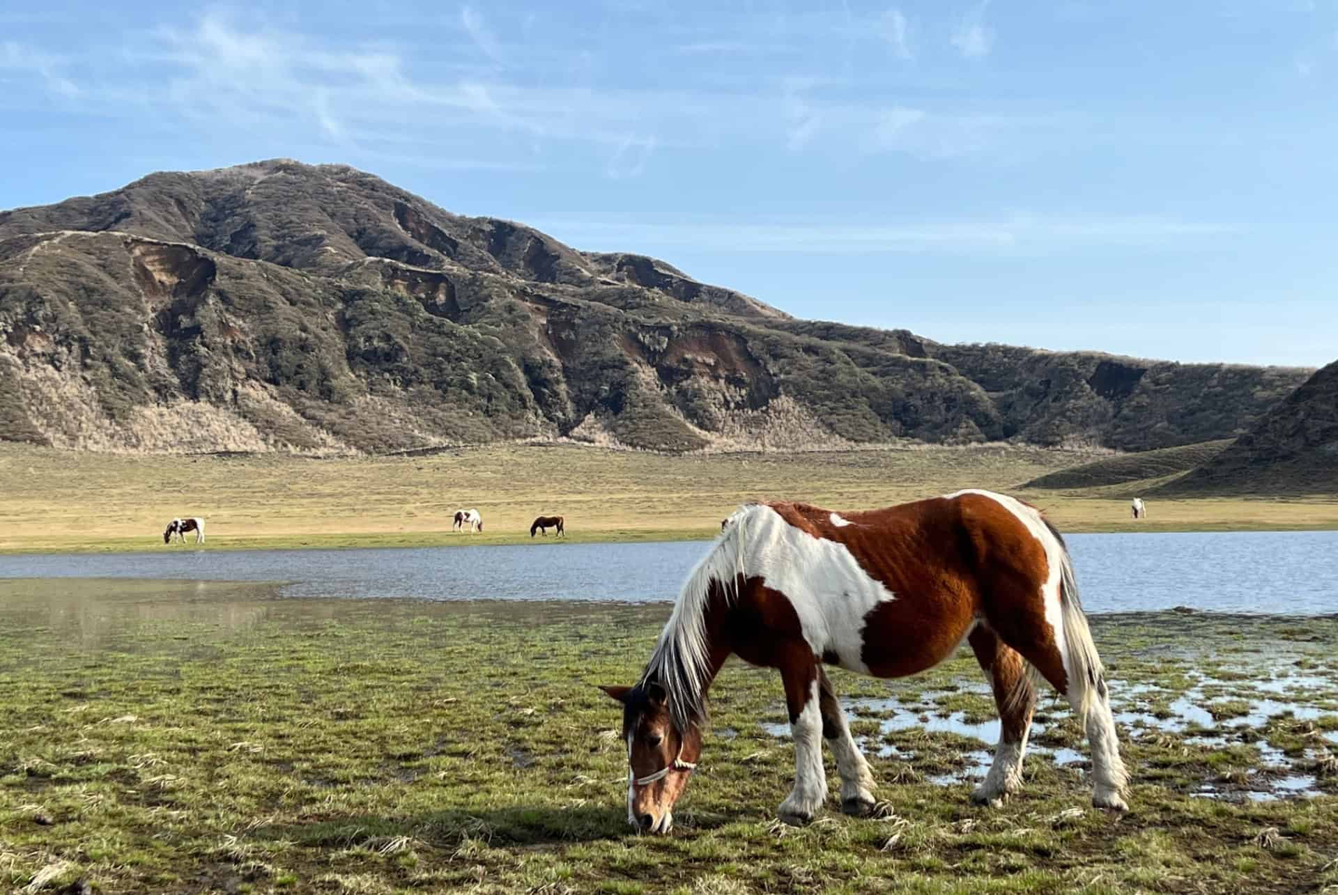mont aso
