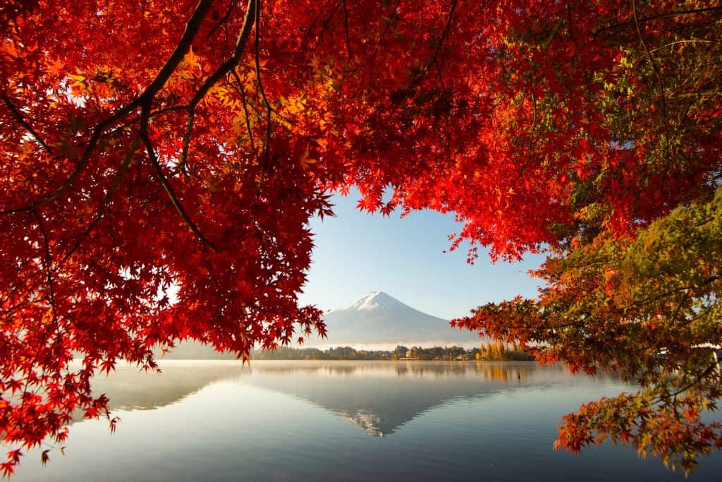 mont fuji japon en novembre