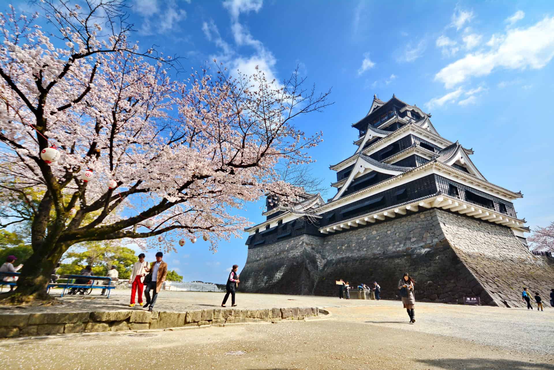 ruines chateau fukuoka printemps