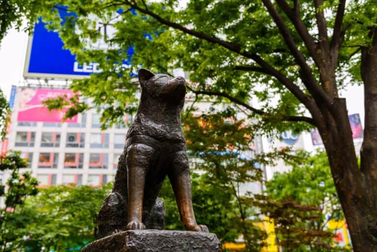 Visite à pied du carrefour de Shibuya et des rues cachées