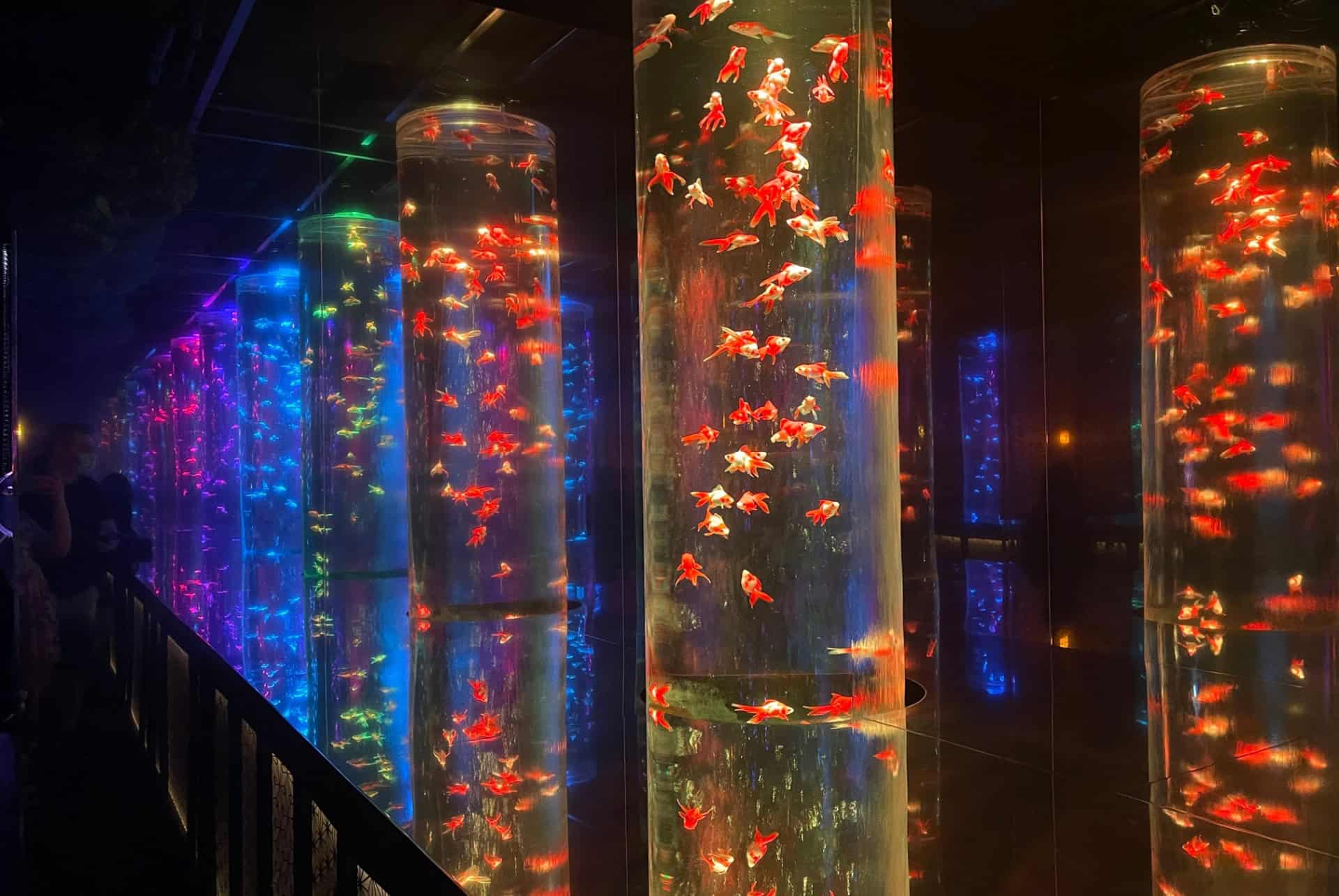 sumida aquarium tokyo