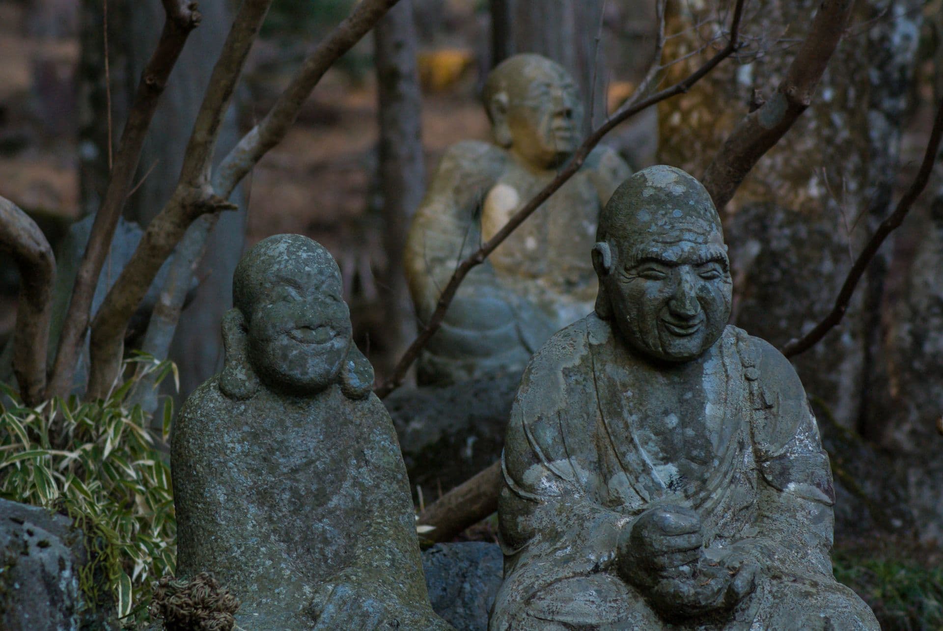 temple choan ji que faire a hakone