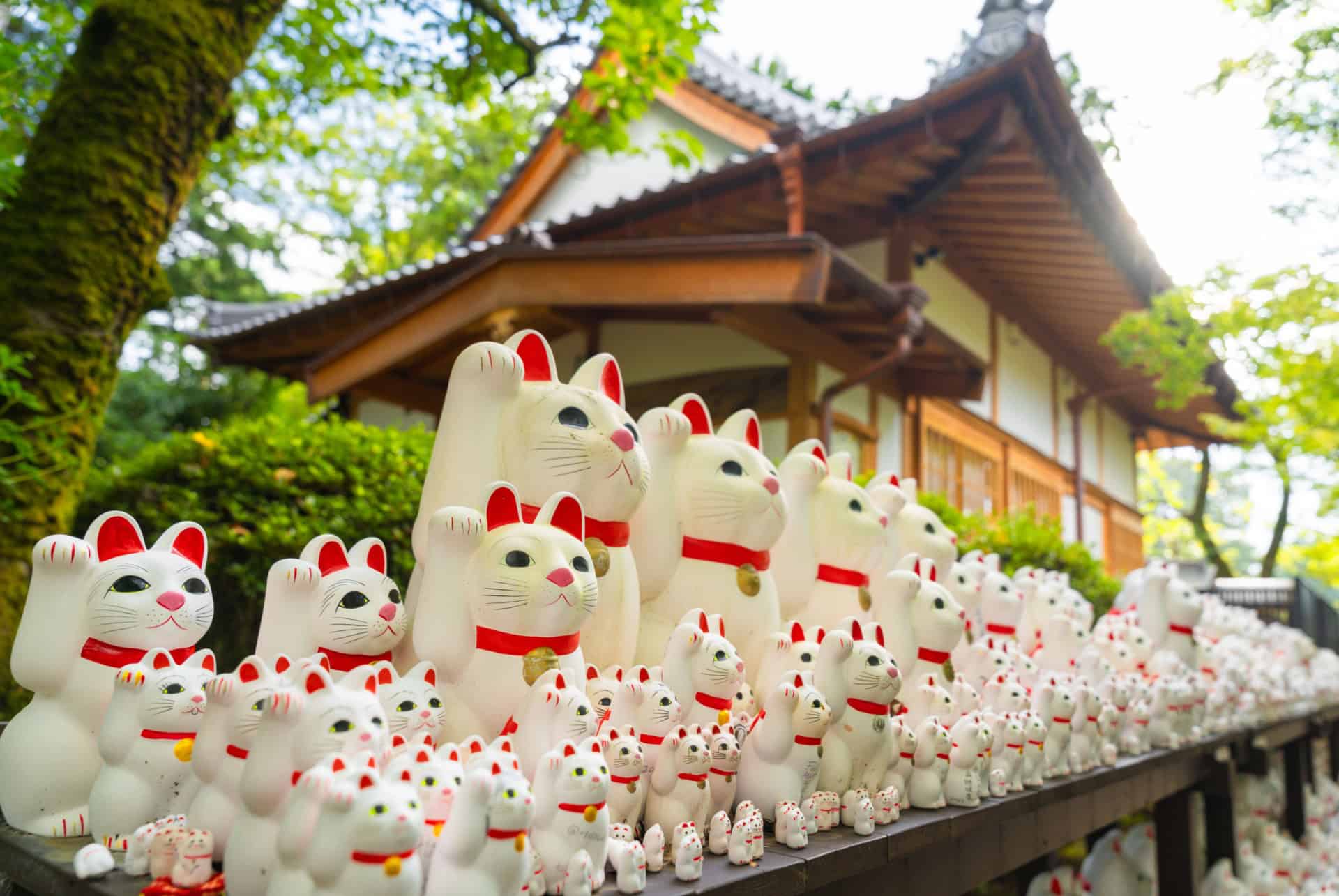 temple gotoku-ji tokyo