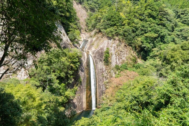 Visite guidée des chutes d'eau de Nunobiki et du jardin botanique
