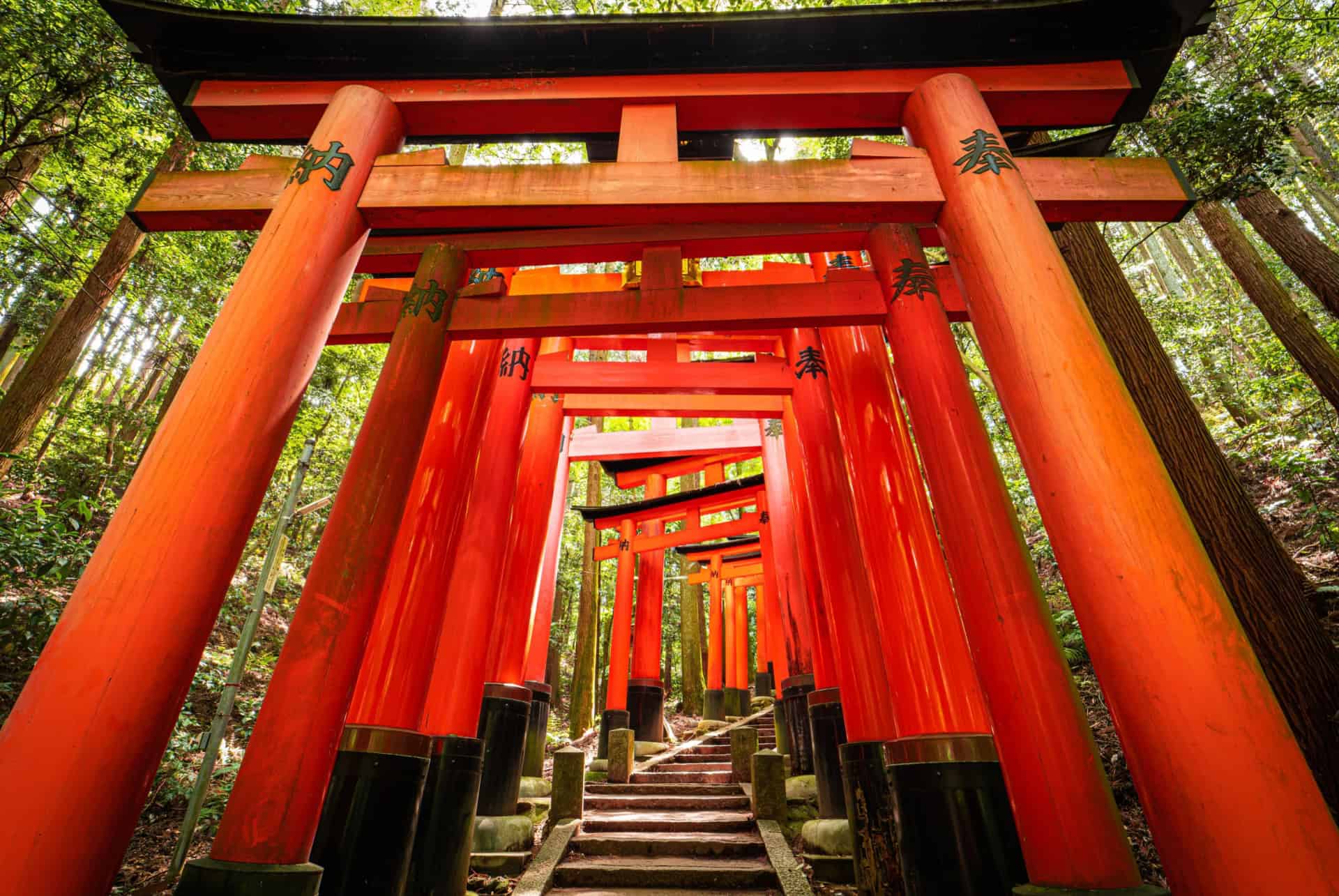 portes torii fushimi inari kyoto