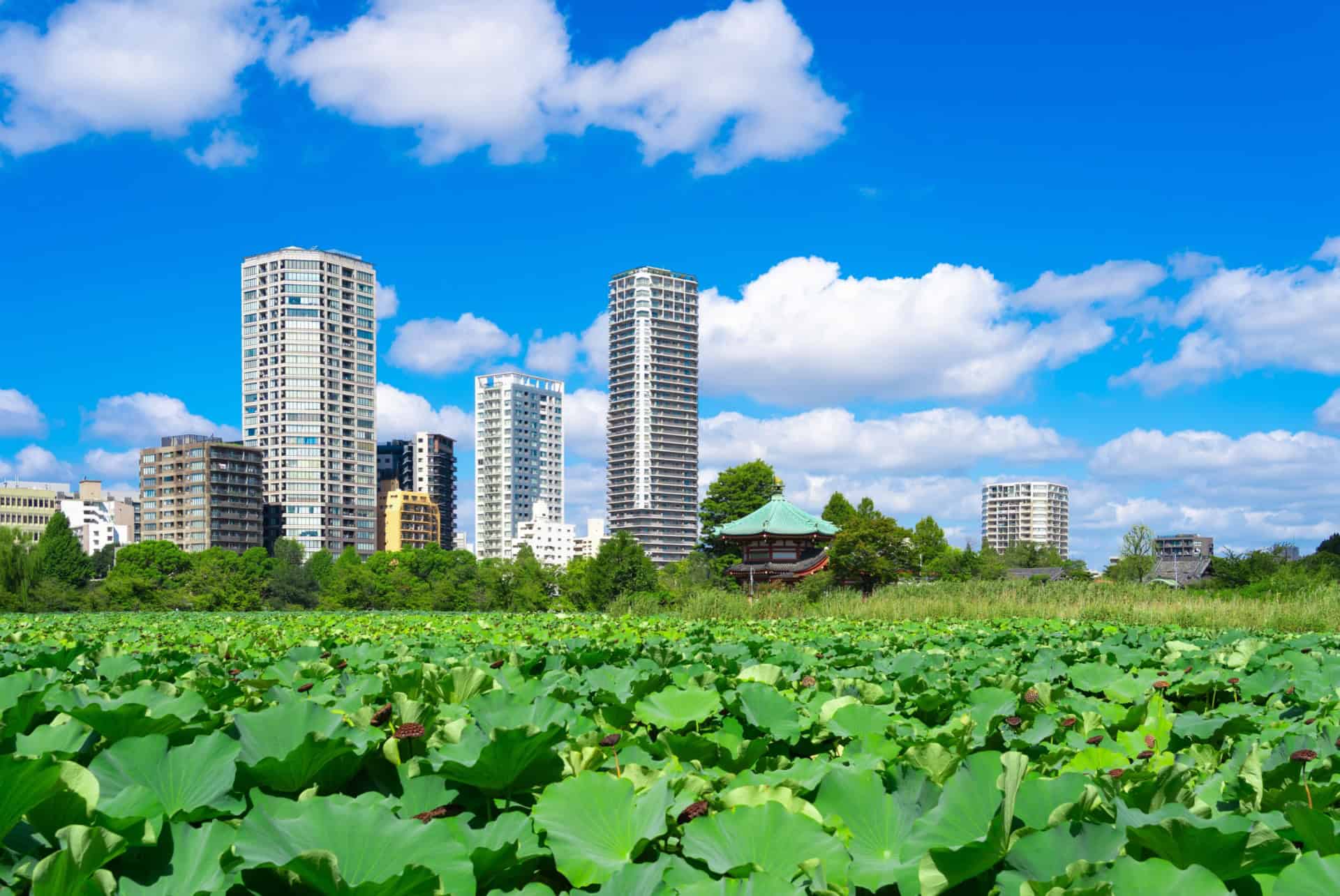 shinobazu tokyo 3 jours