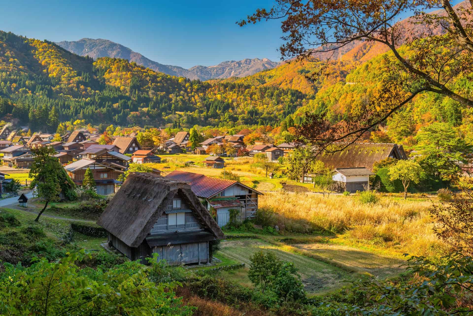 shirakawa go alpes japonaises