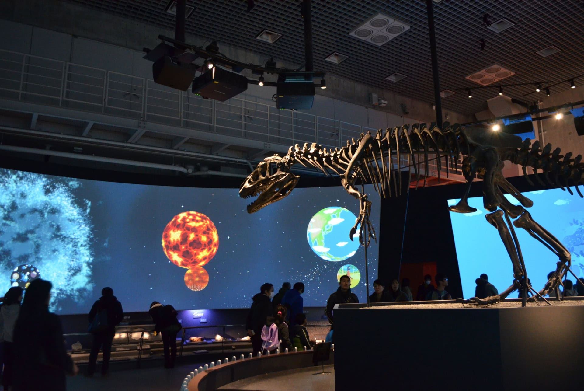 tokyo national museum of nature and science