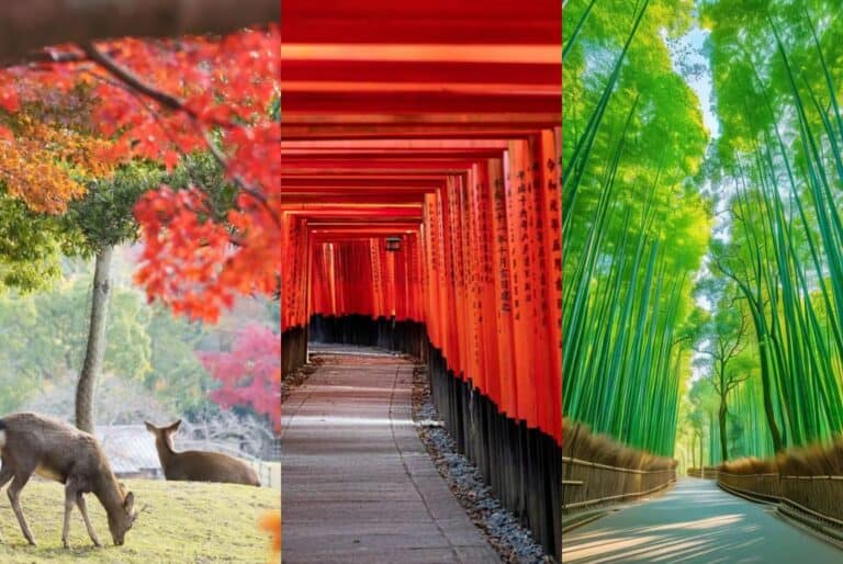 Kyoto : visite des sites phares