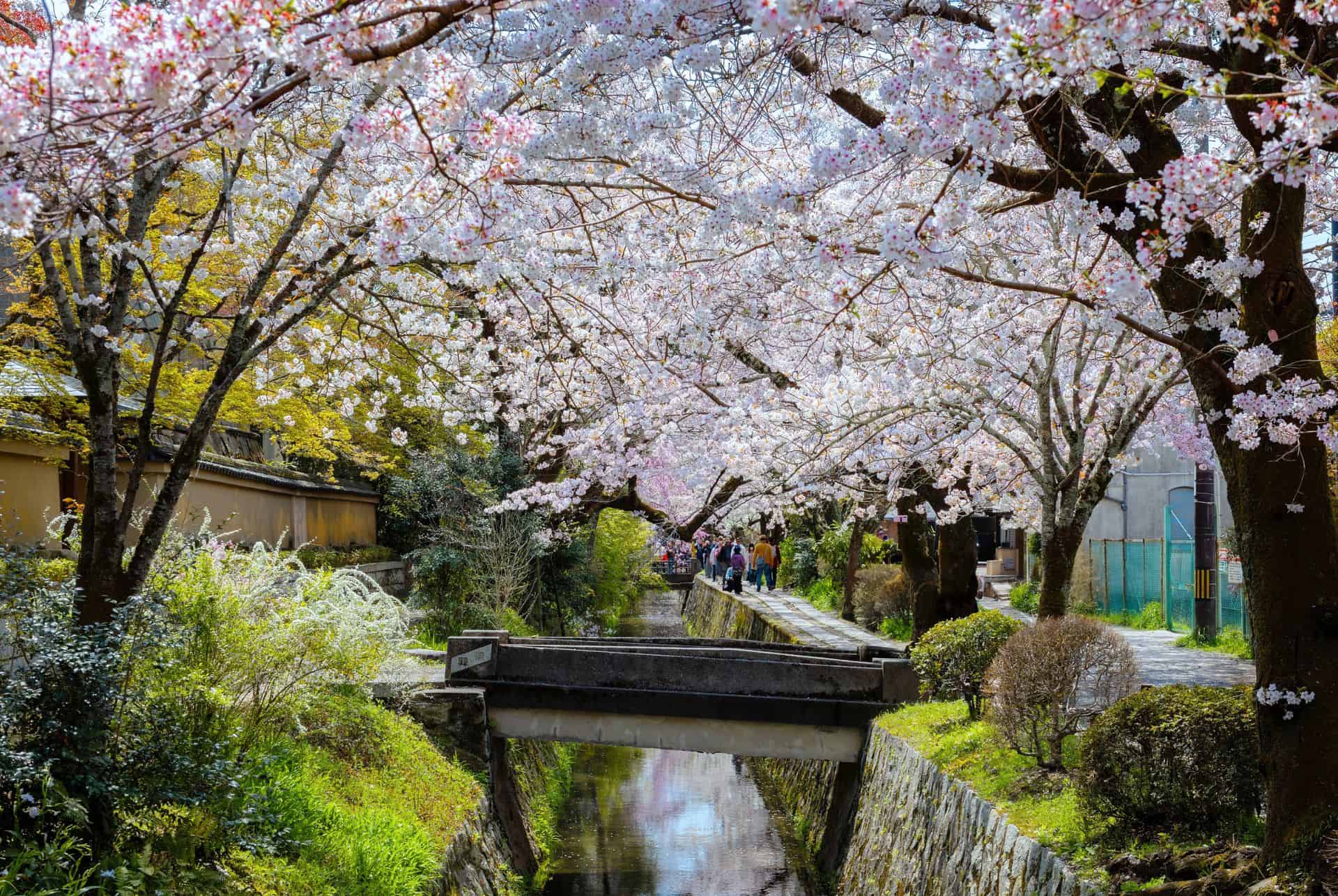 chemin du philosophe kyoto chemin du philosophe kyoto