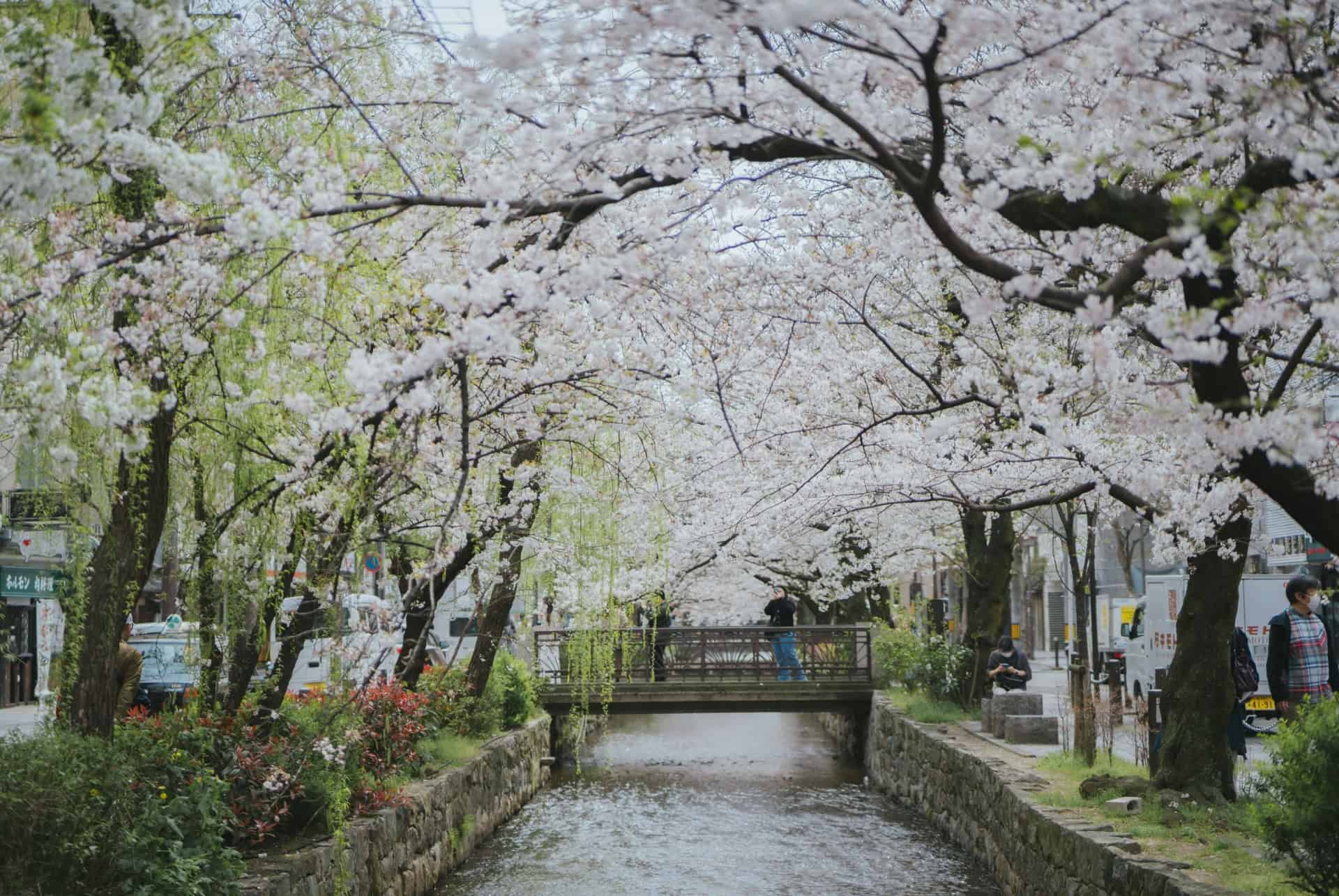 kiyamachi dori kiyamachi dori