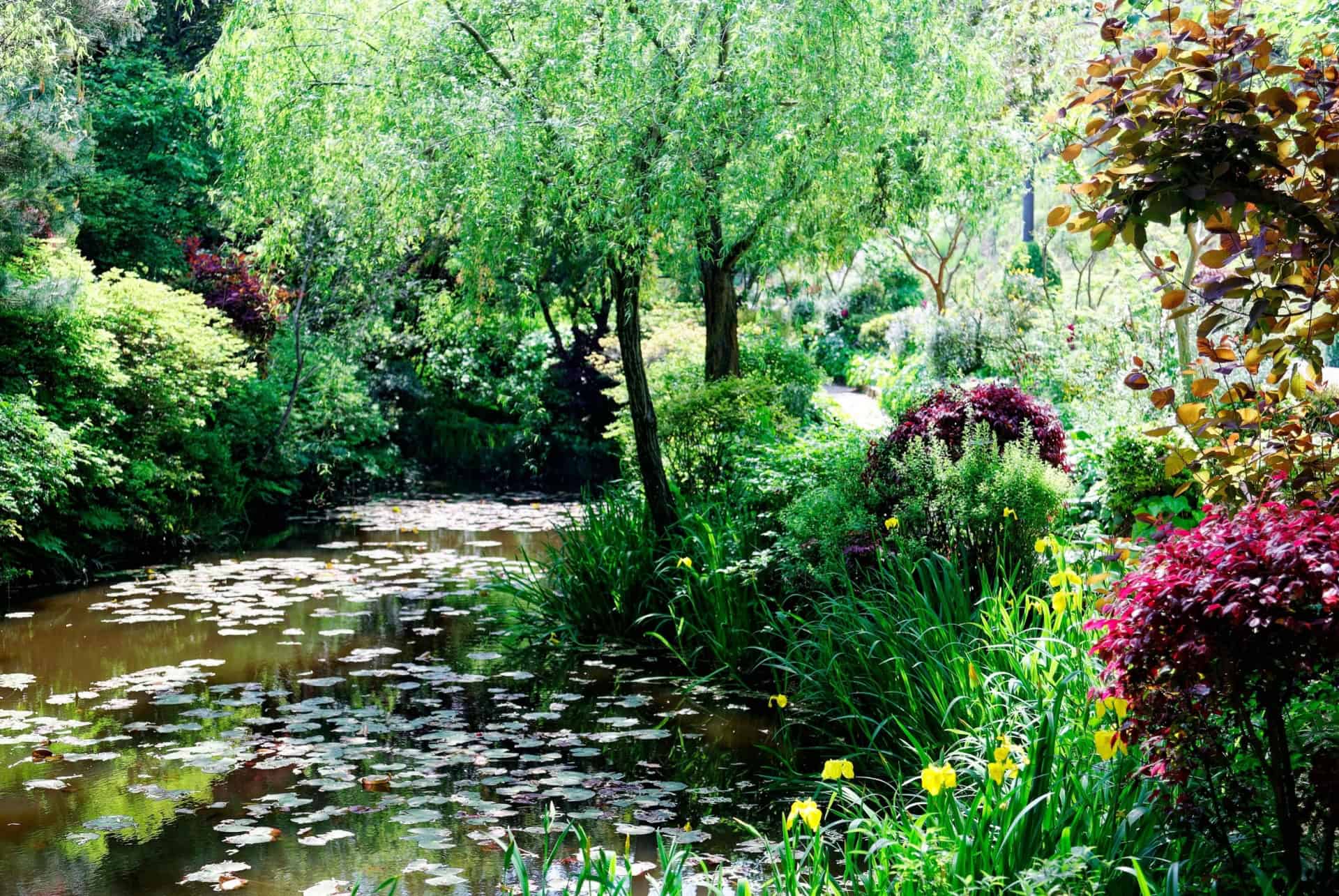 musee chichu jardin musee chichu jardin