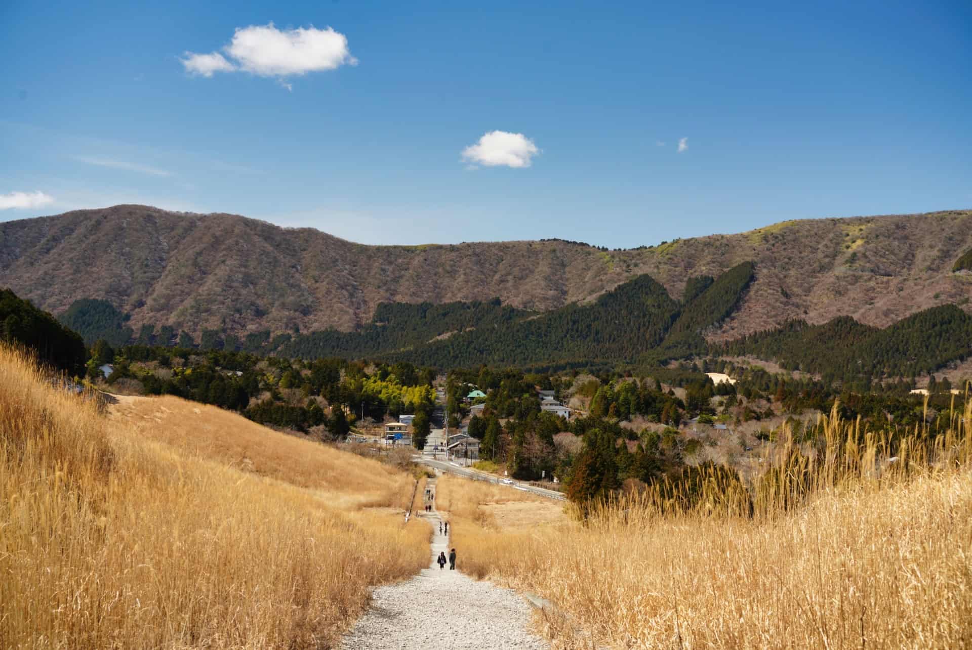 sengokuhara que faire hakone sengokuhara