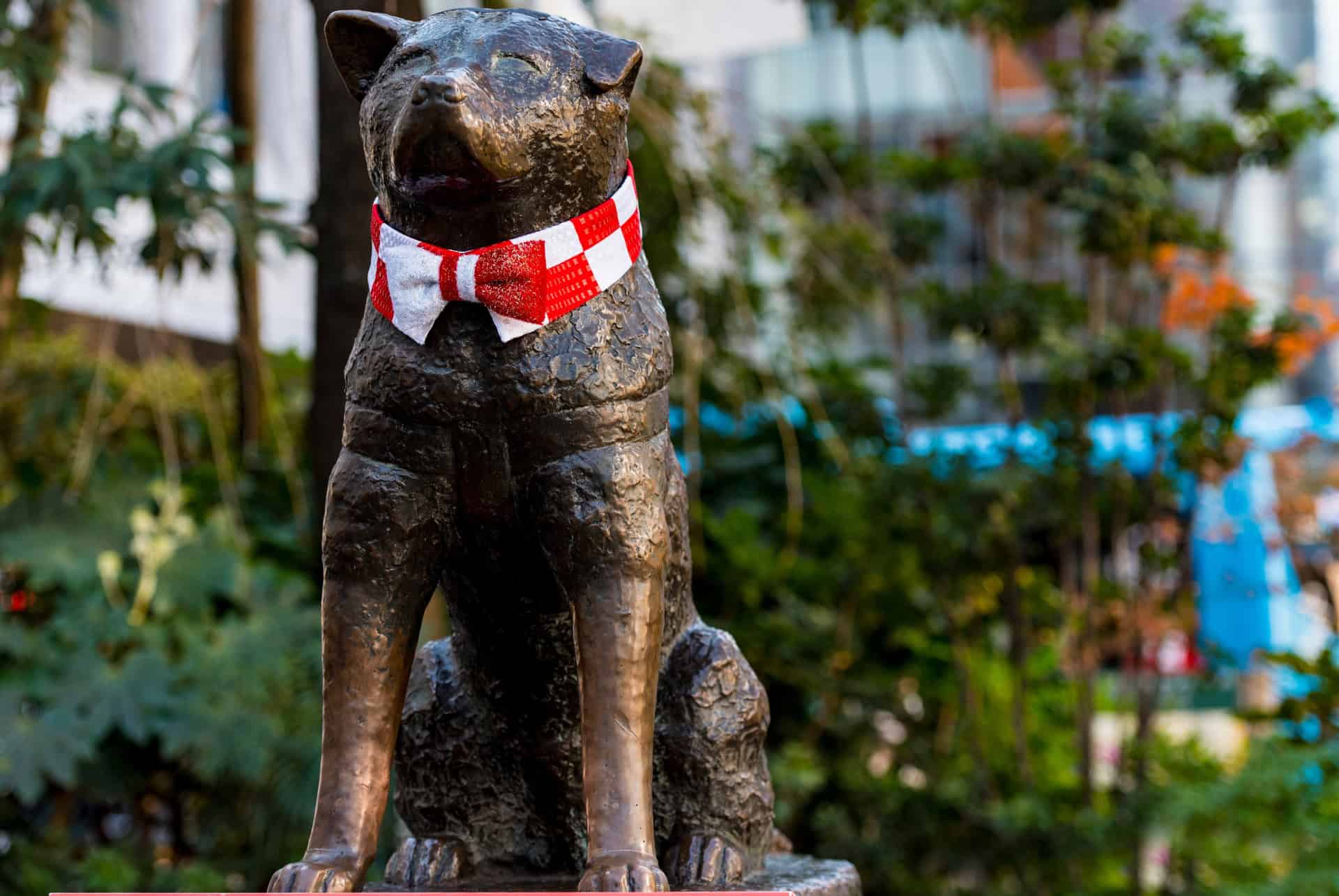 statue hachiko shibuya statue hachiko shibuya