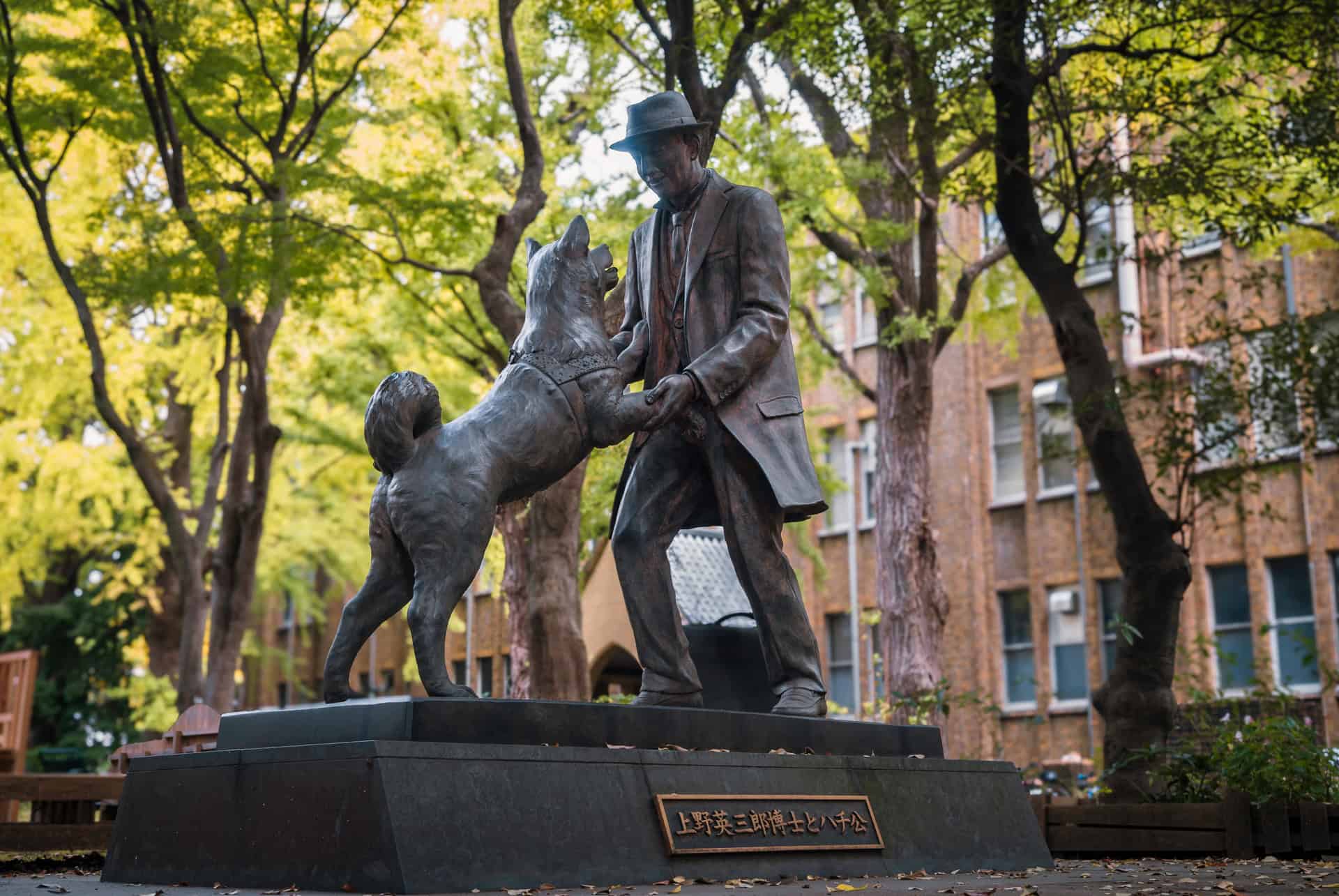 statue hachiko universite tokyo statue hachiko universite tokyo
