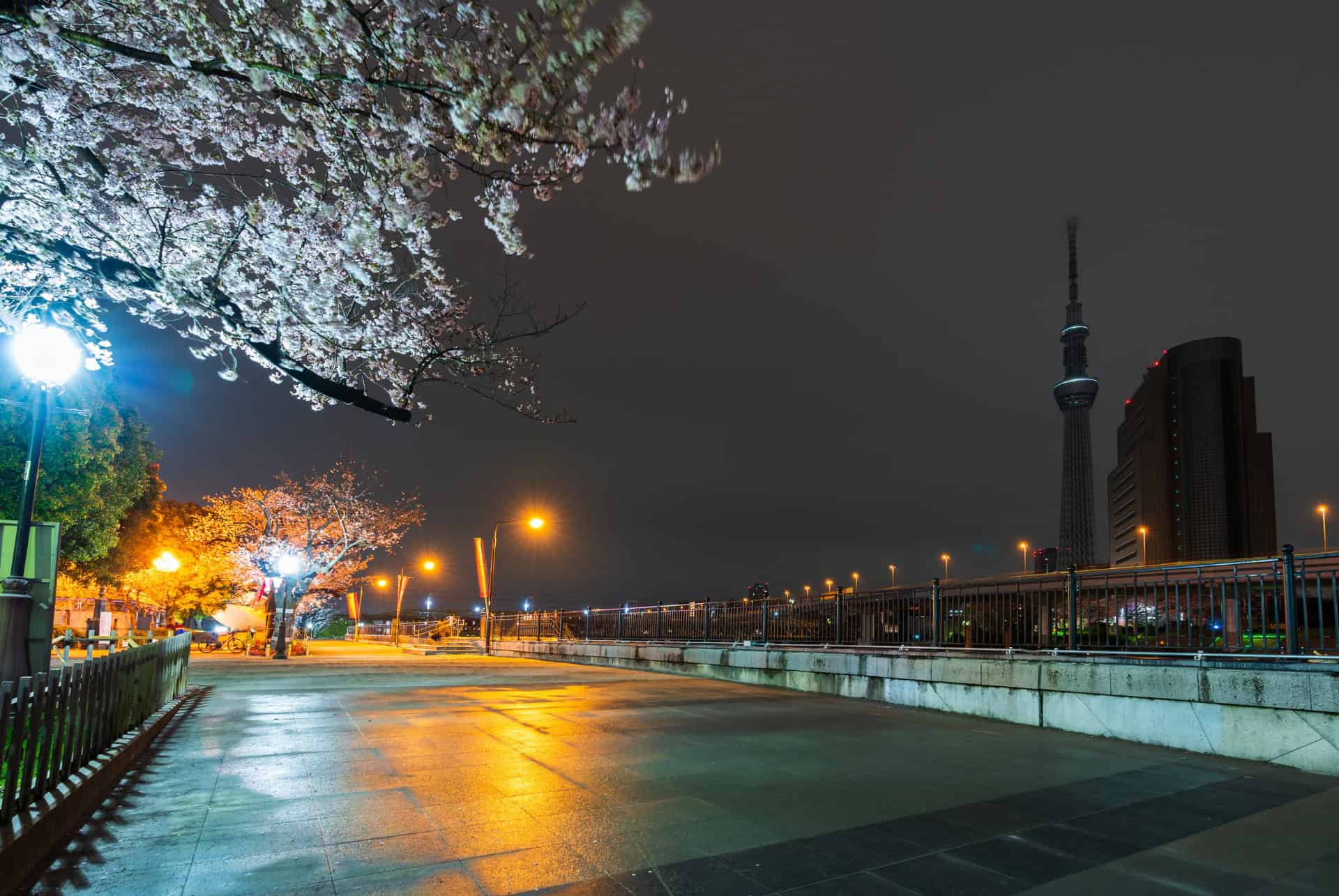 sumida river walk sumida river walk