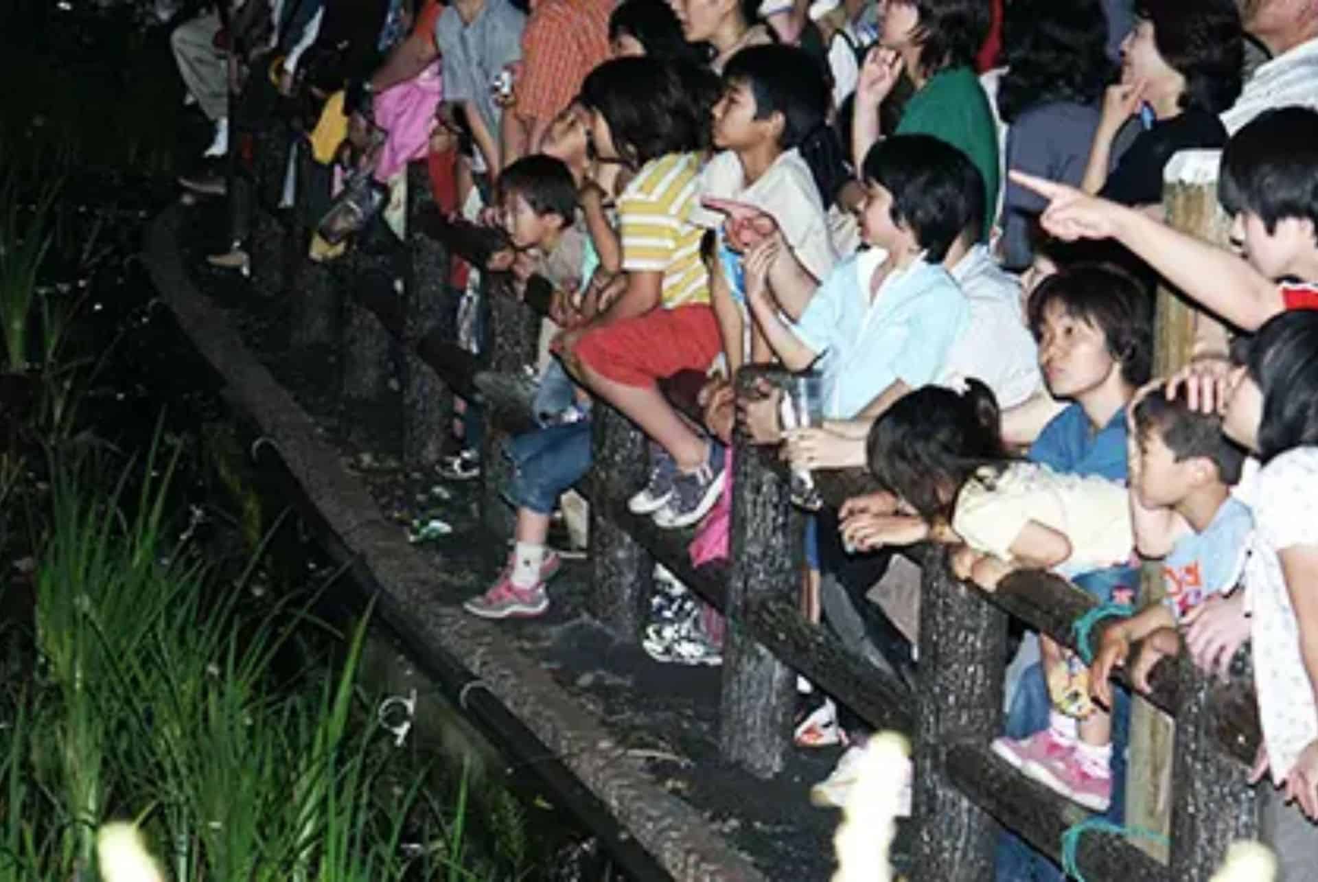 fussa ou voir des lucioles au japon fussa ou voir des lucioles au japon