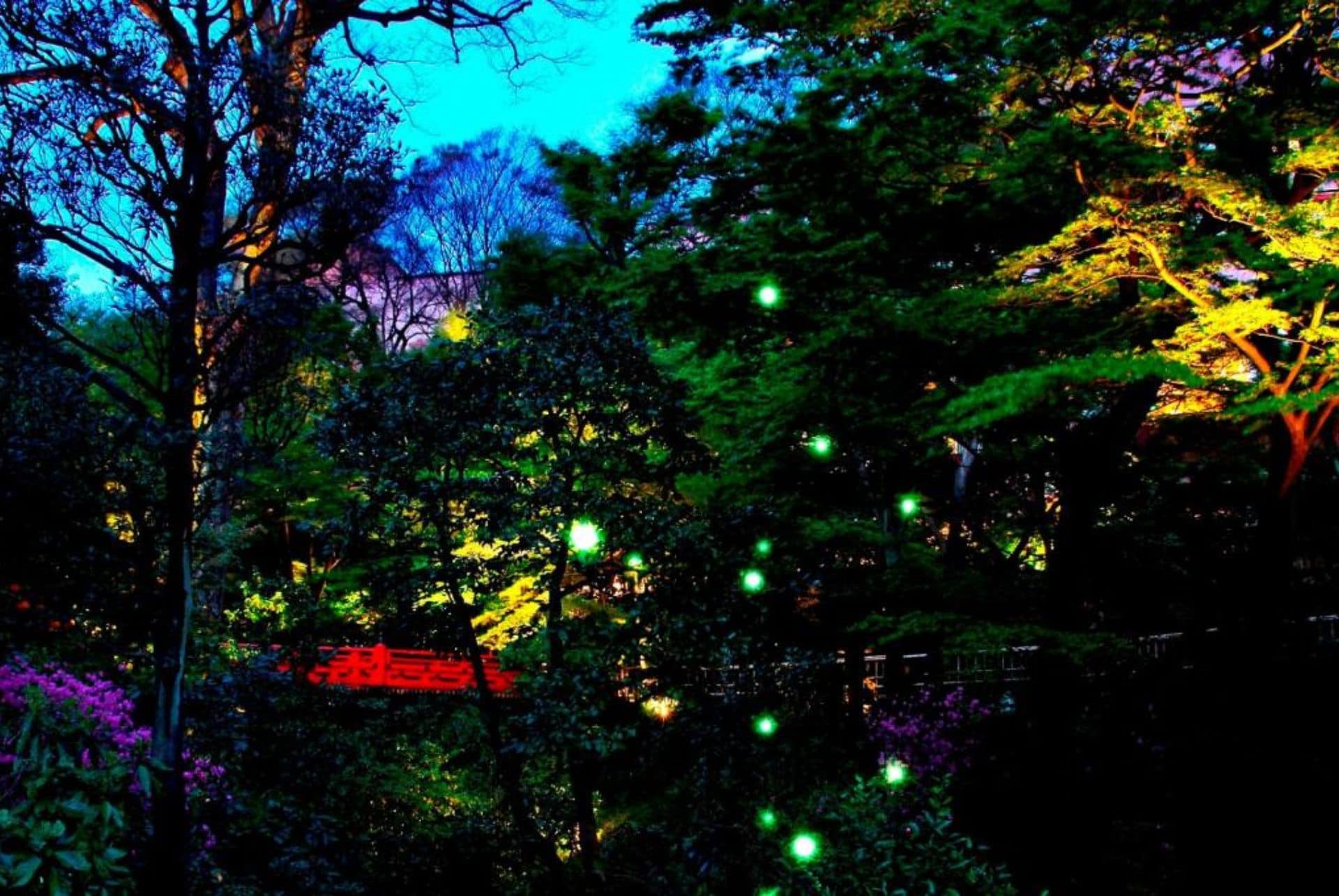 hotel chinzanso ou voir des lucioles au japon hotel chinzanso ou voir des lucioles au japon