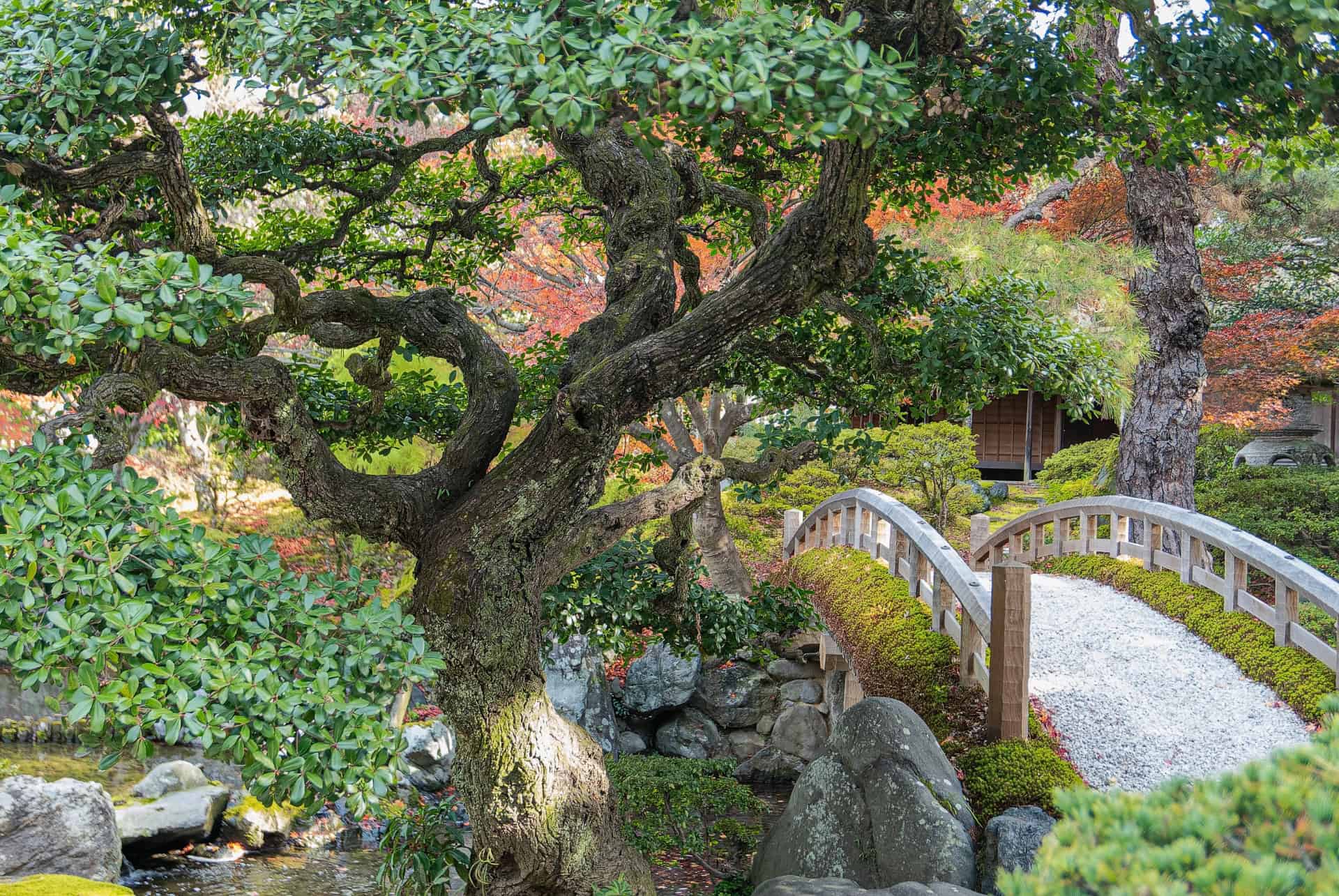 kyoto palais kyoto palais