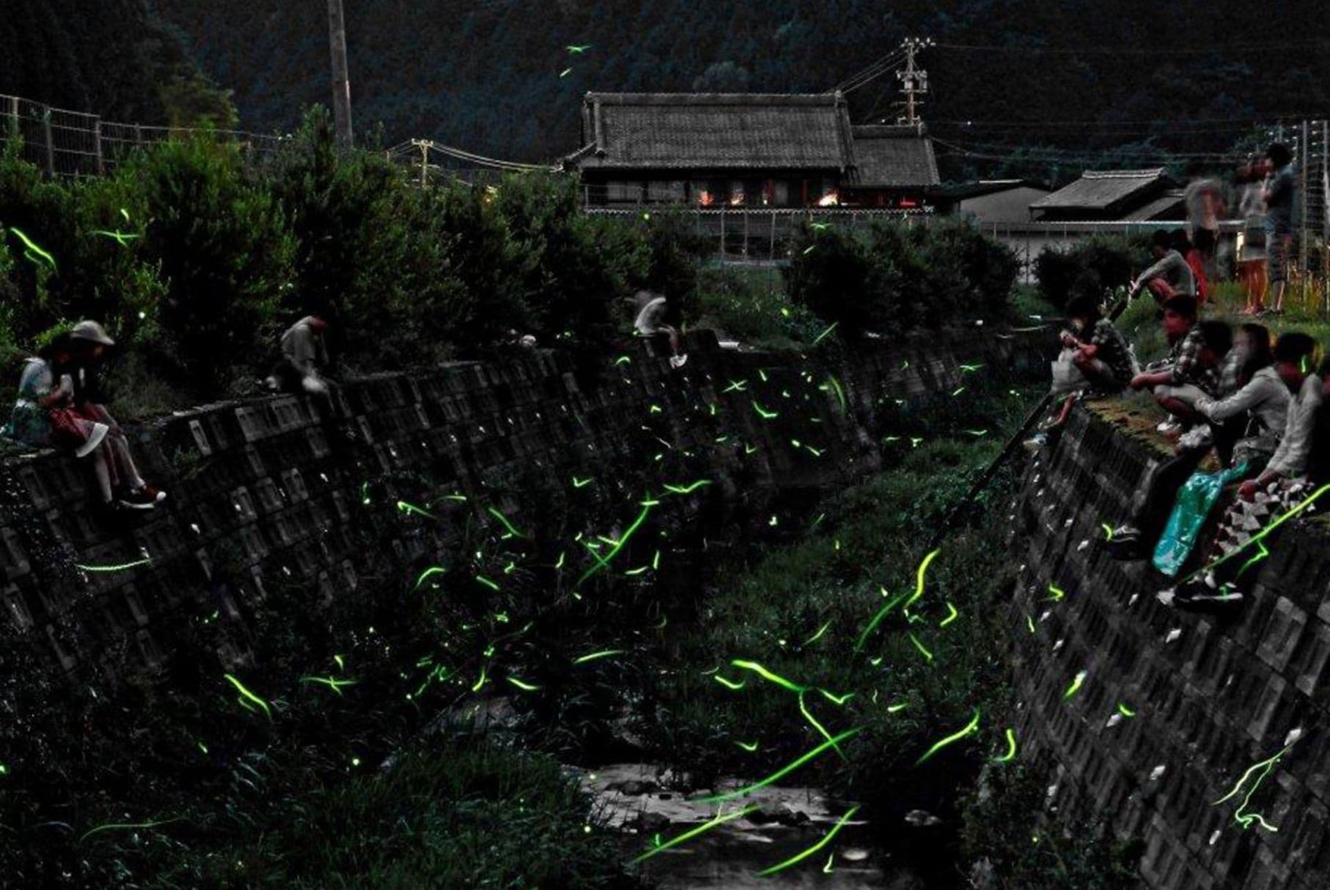 okazaki festival des lucioles okazaki festival des lucioles