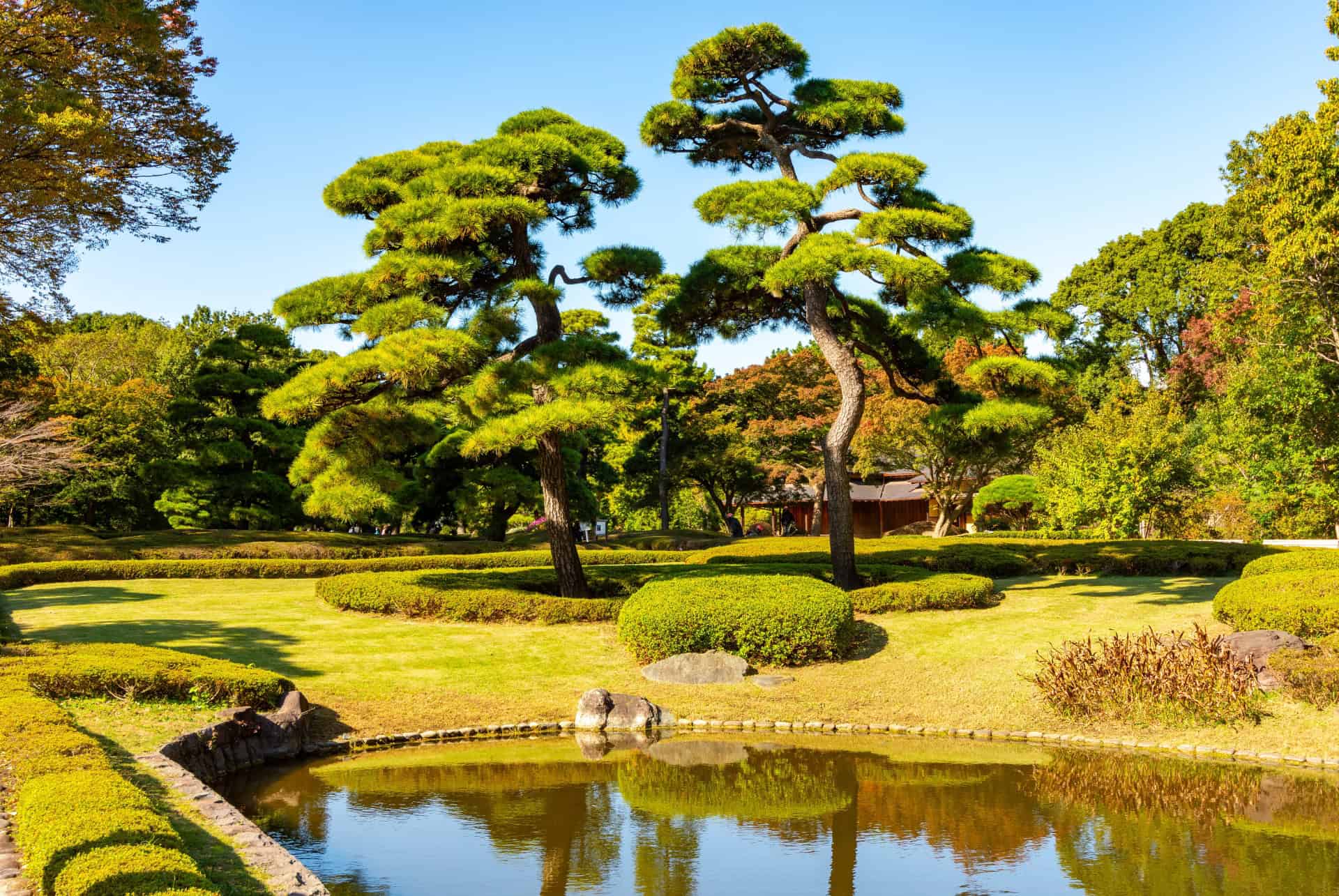 palais imperial tokyo jardin palais imperial tokyo jardin