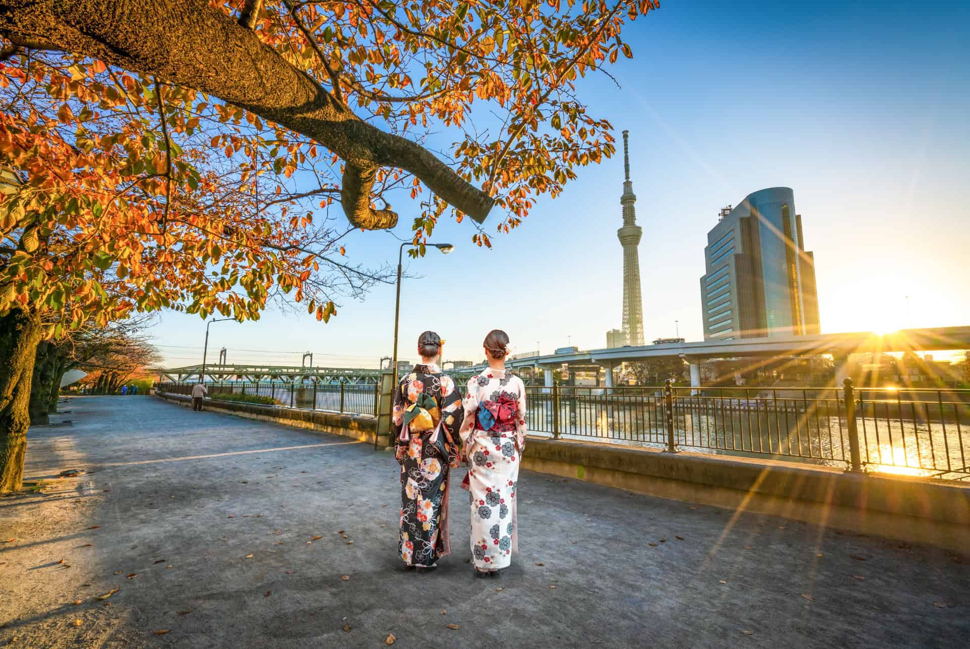 parc sumida vue tokyo skytree parc sumida vue tokyo skytree