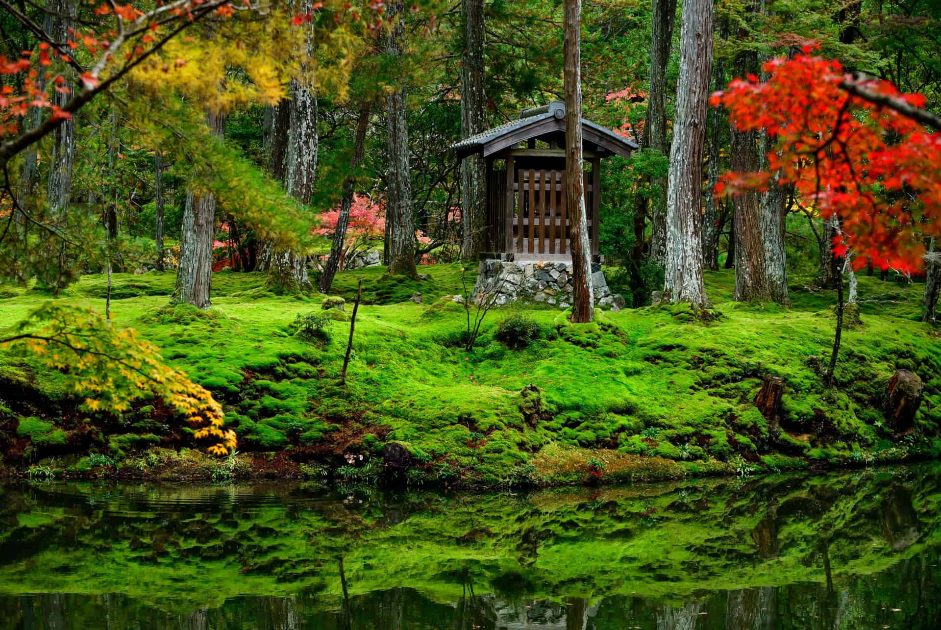 saiho ji japon juin saiho ji japon juin