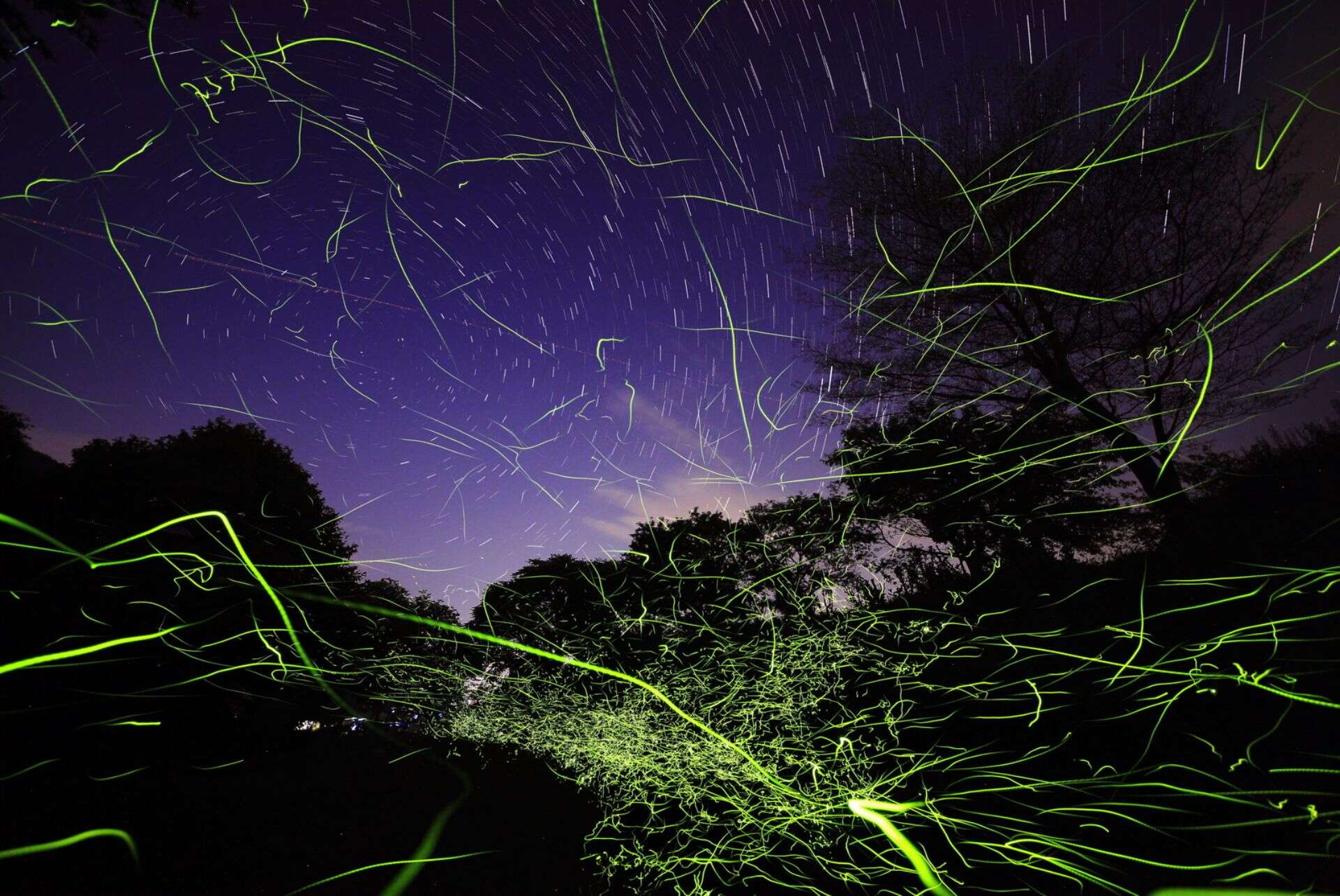 tatsuno festival des lucioles tatsuno festival des lucioles