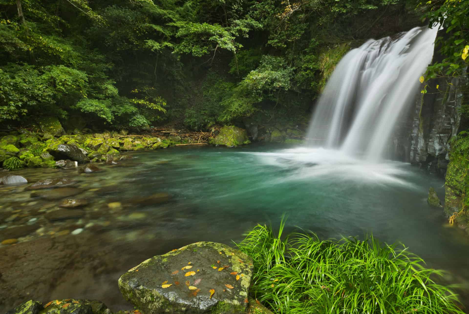 cascade shokeidaru cascade shokeidaru