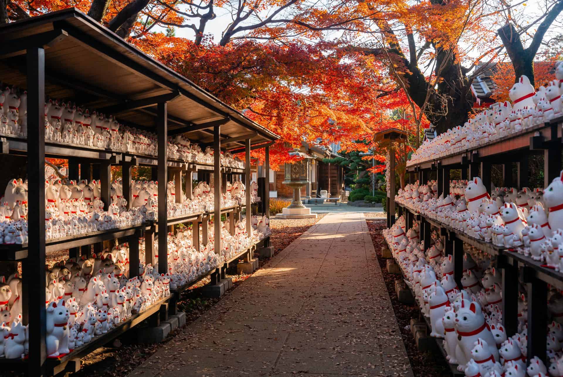gotokuji gotokuji
